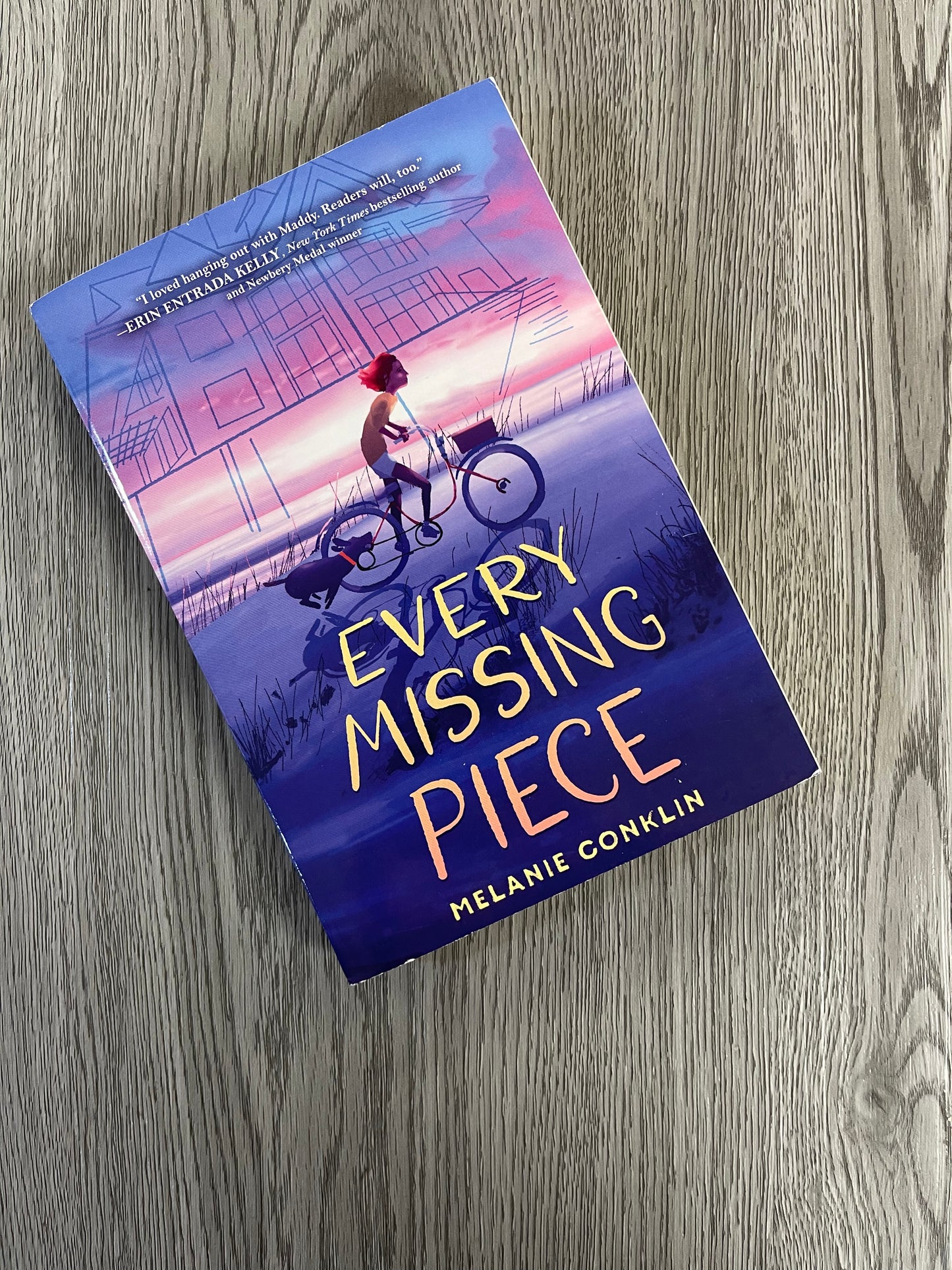 Every Missing Piece by Melanie Conklin