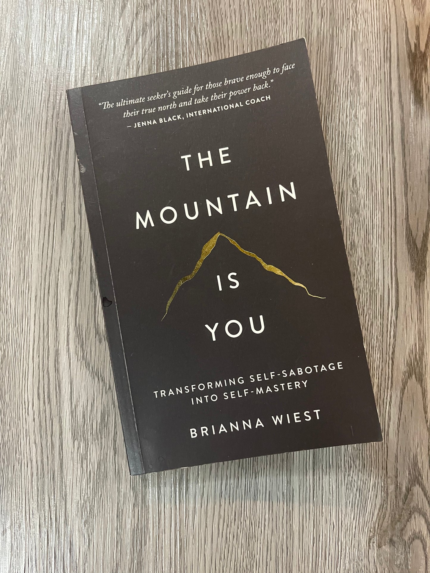 The Mountain is You: Transforming Self-Sabotage Into Self-Masteryby Brianna Wiest-Used