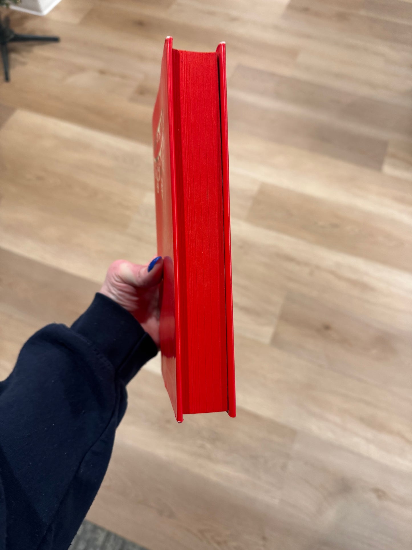 Red Queen (Red Queen #1) by Victoria Aveyard-Used