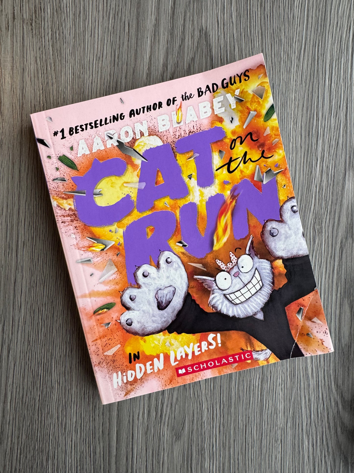 Cat on the Run Series by Aaron Blabey - Used