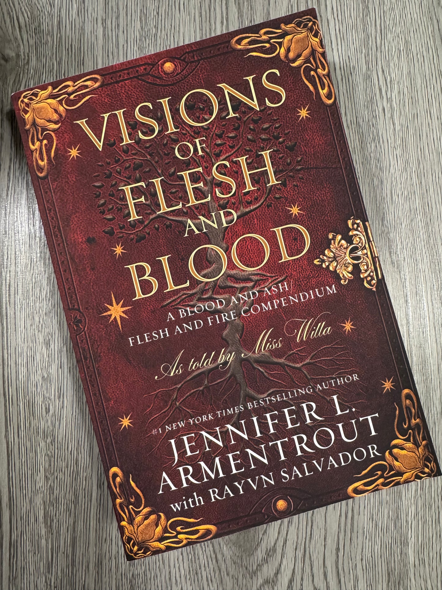 Visions of Flesh and Blood (Blood and Ash 0) by Jennifer L Armentrout-Used