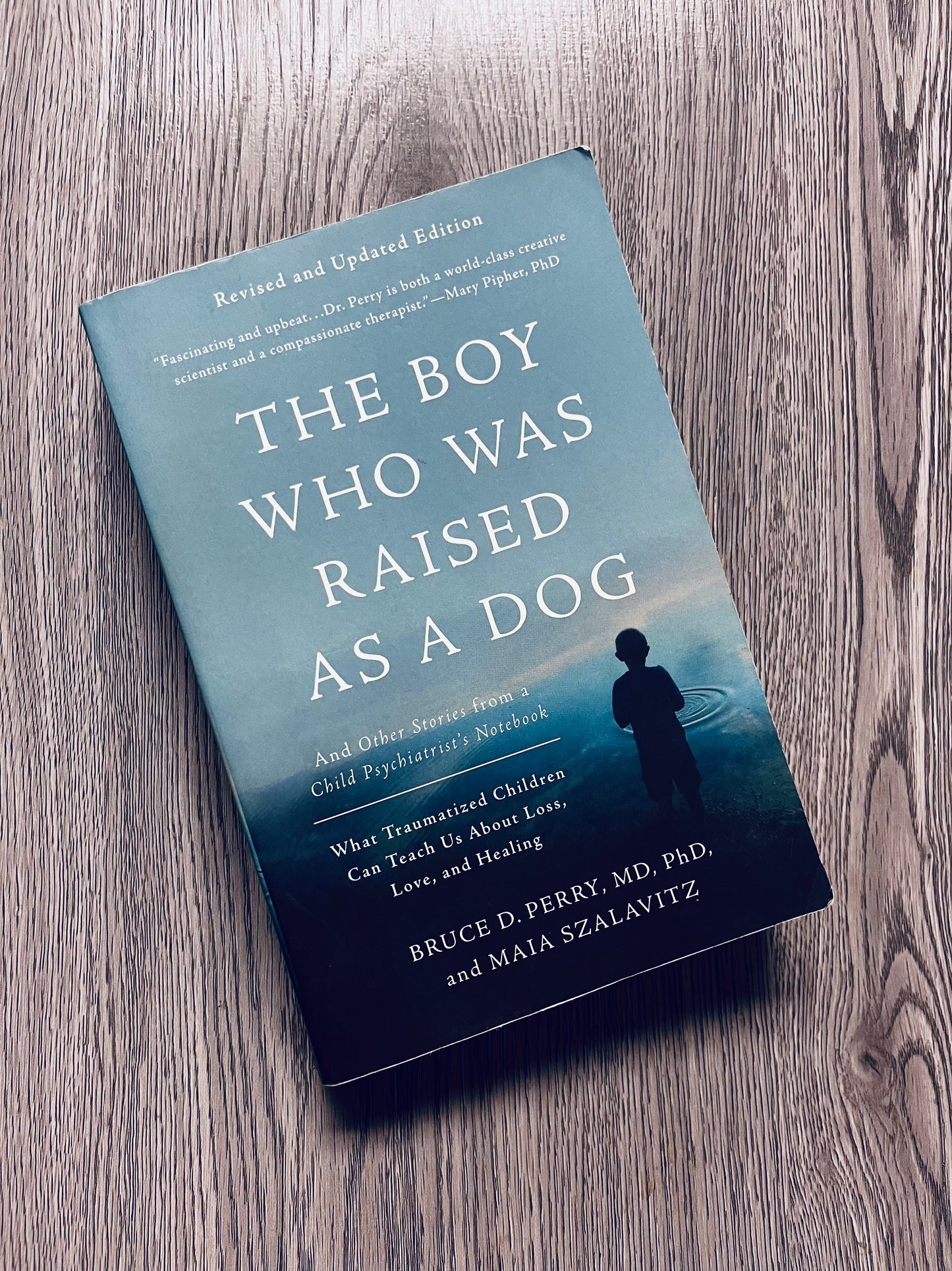 The Boy Who Was Rasied as a Dog: and other stories from a Child Psychiatrist's Notebook by Bruce D. Perry, MD, PhD-Used