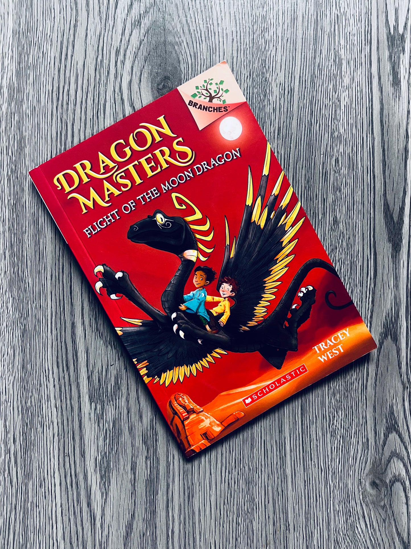 Dragon Masters by Tracey West