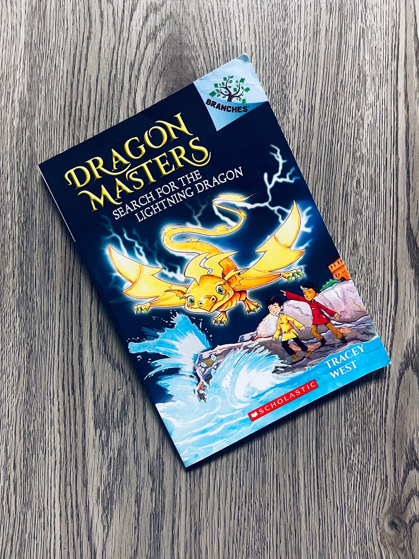 Dragon Masters by Tracey West