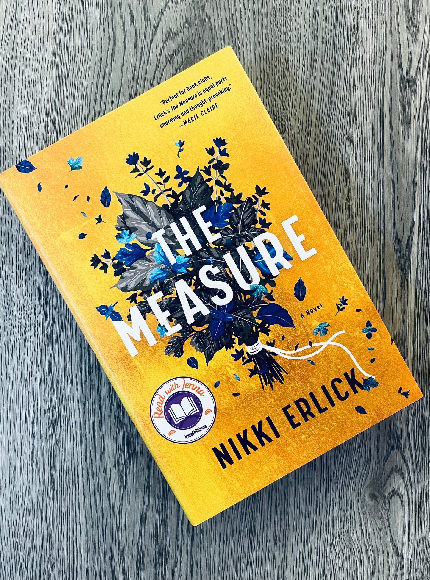 The Measure by Nikki Erlick-Used