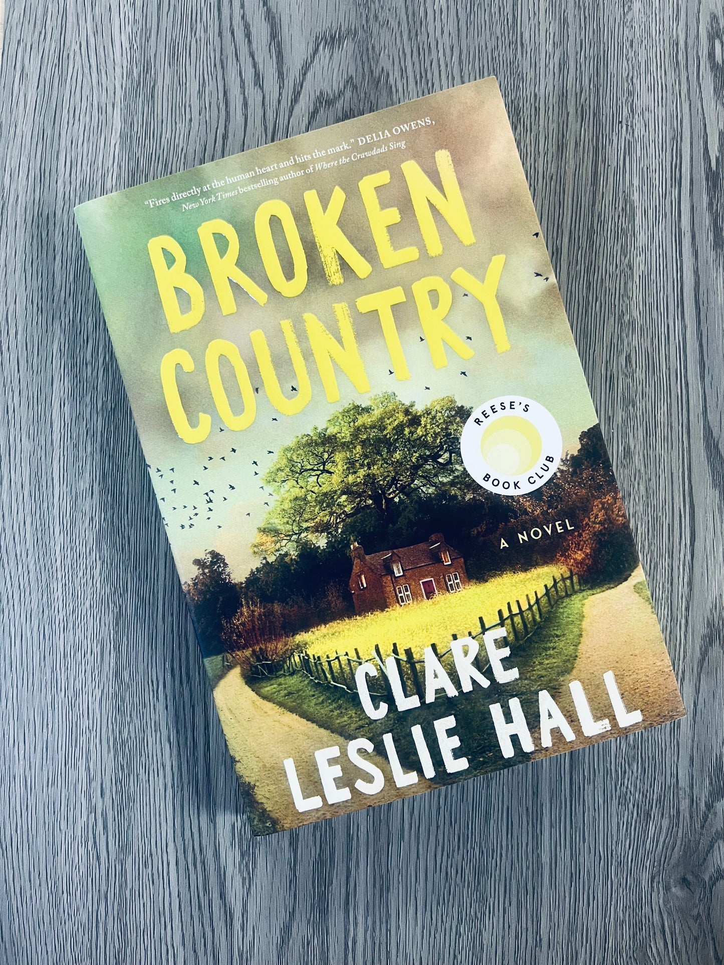 Broken Country by Clare Leslie Hall - Used