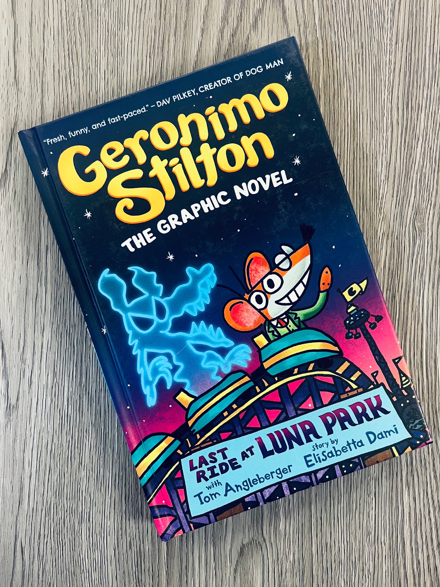 Geronimo Stilton Graphic Novel Series by Elisabetta Dami