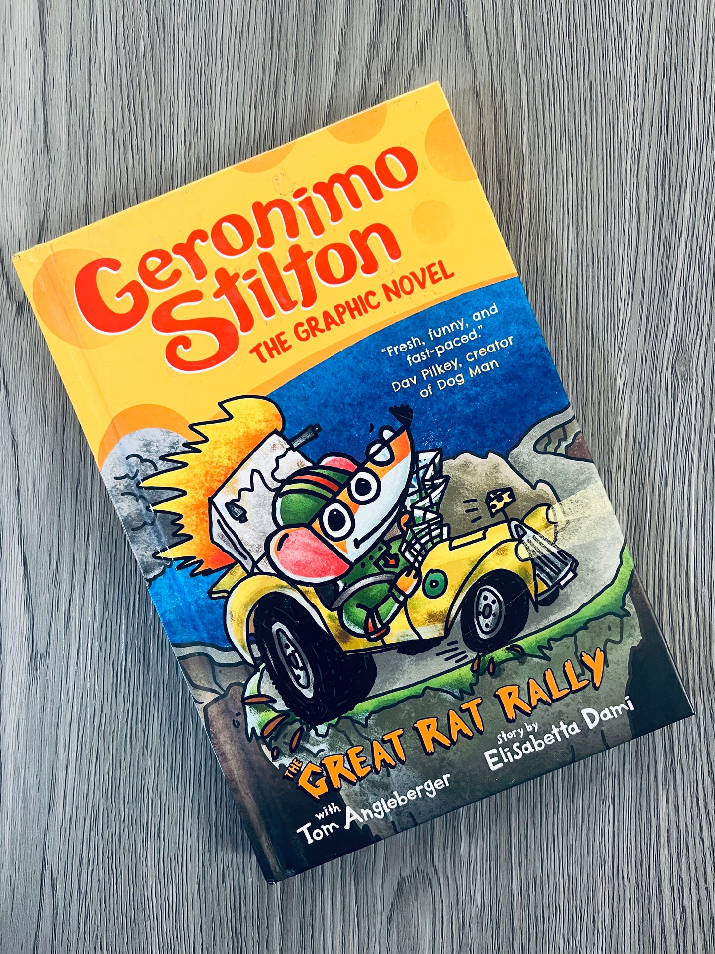 Geronimo Stilton Graphic Novel Series by Elisabetta Dami