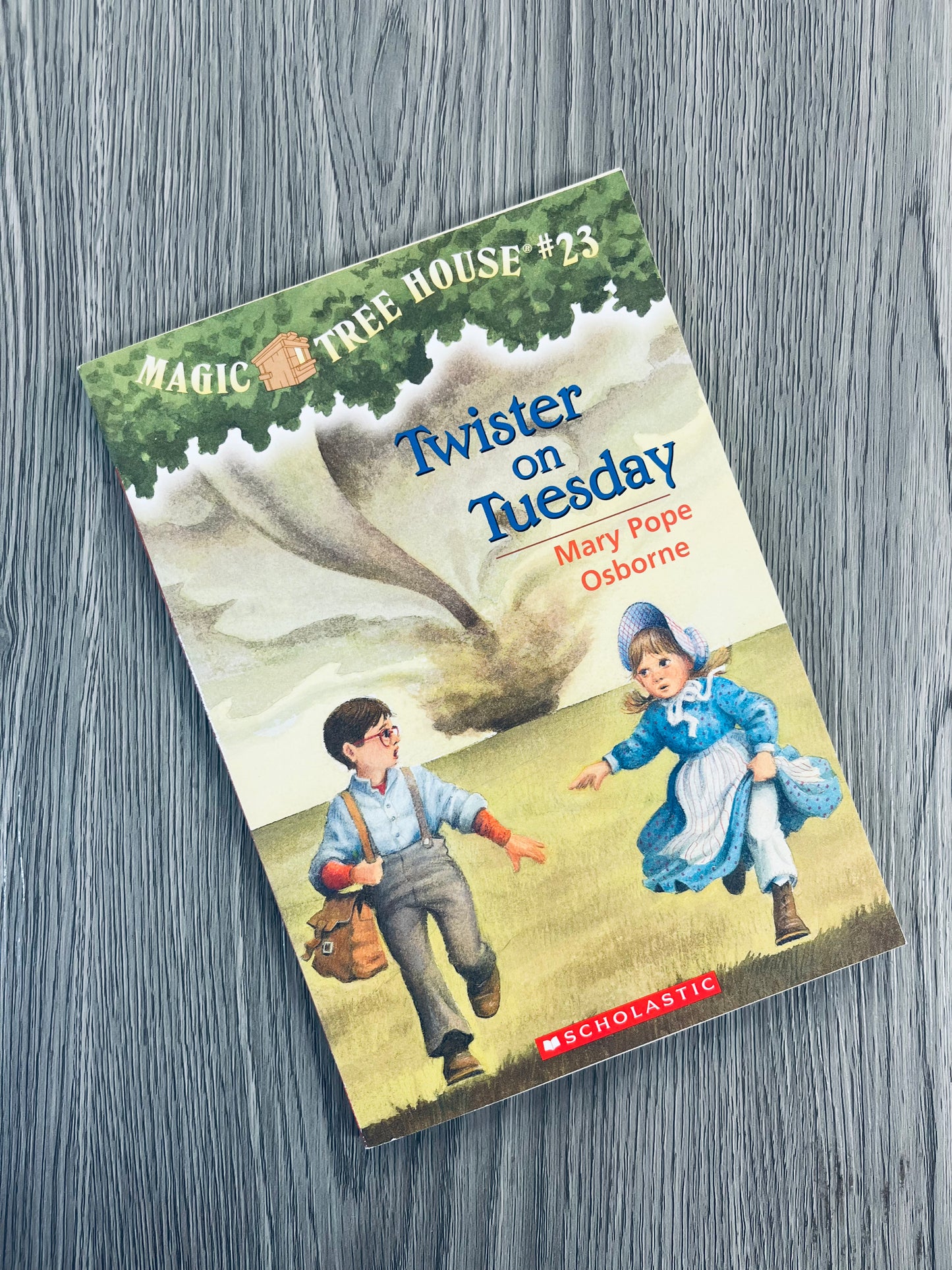 Magic Tree House by Mary Pope Osborne