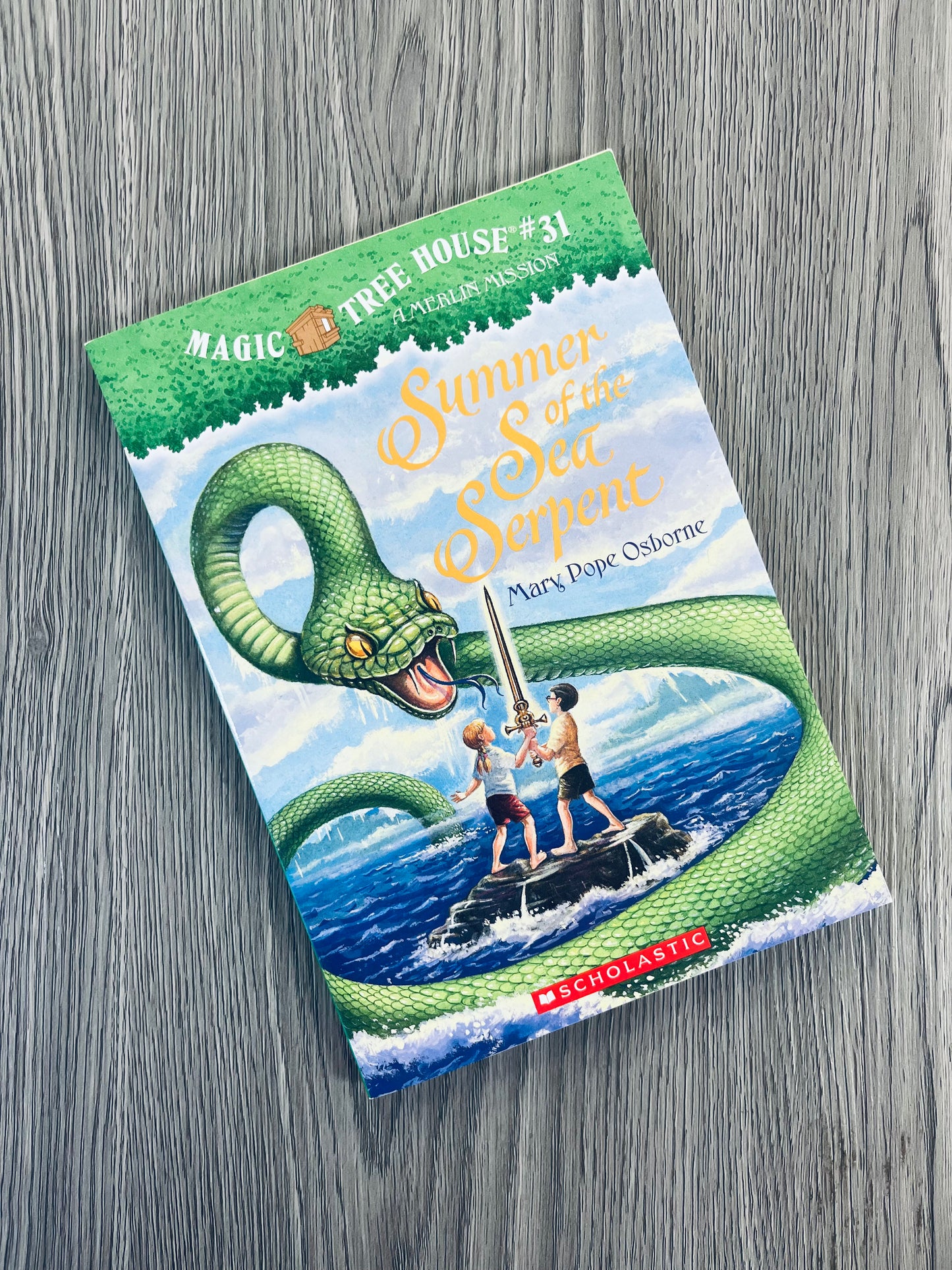 Magic Tree House by Mary Pope Osborne