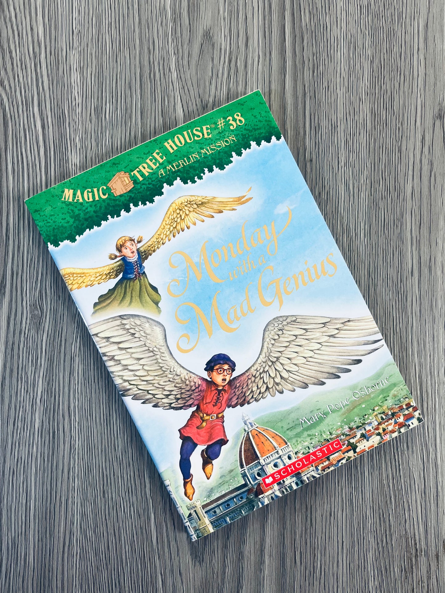 Magic Tree House by Mary Pope Osborne