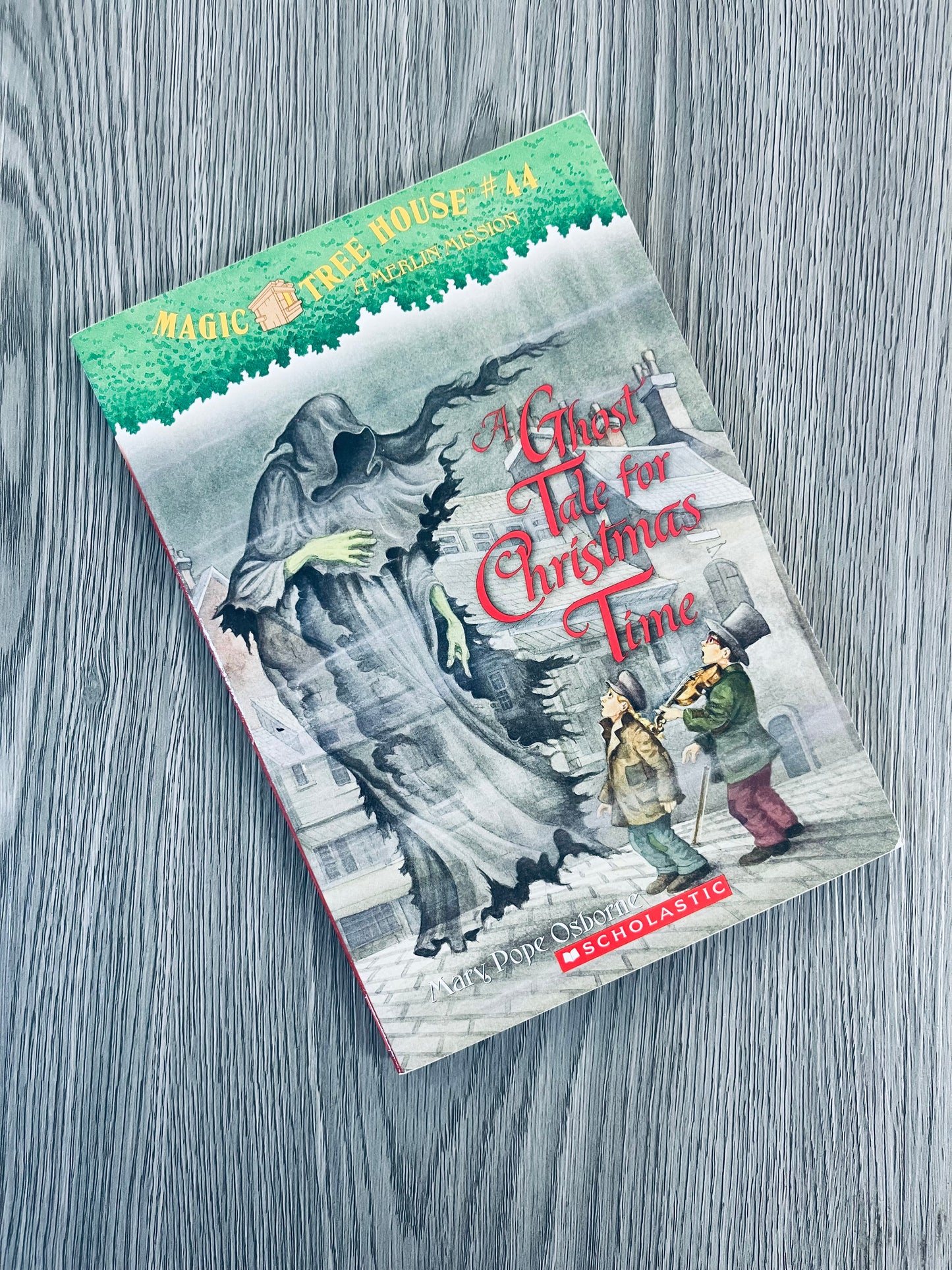 Magic Tree House by Mary Pope Osborne