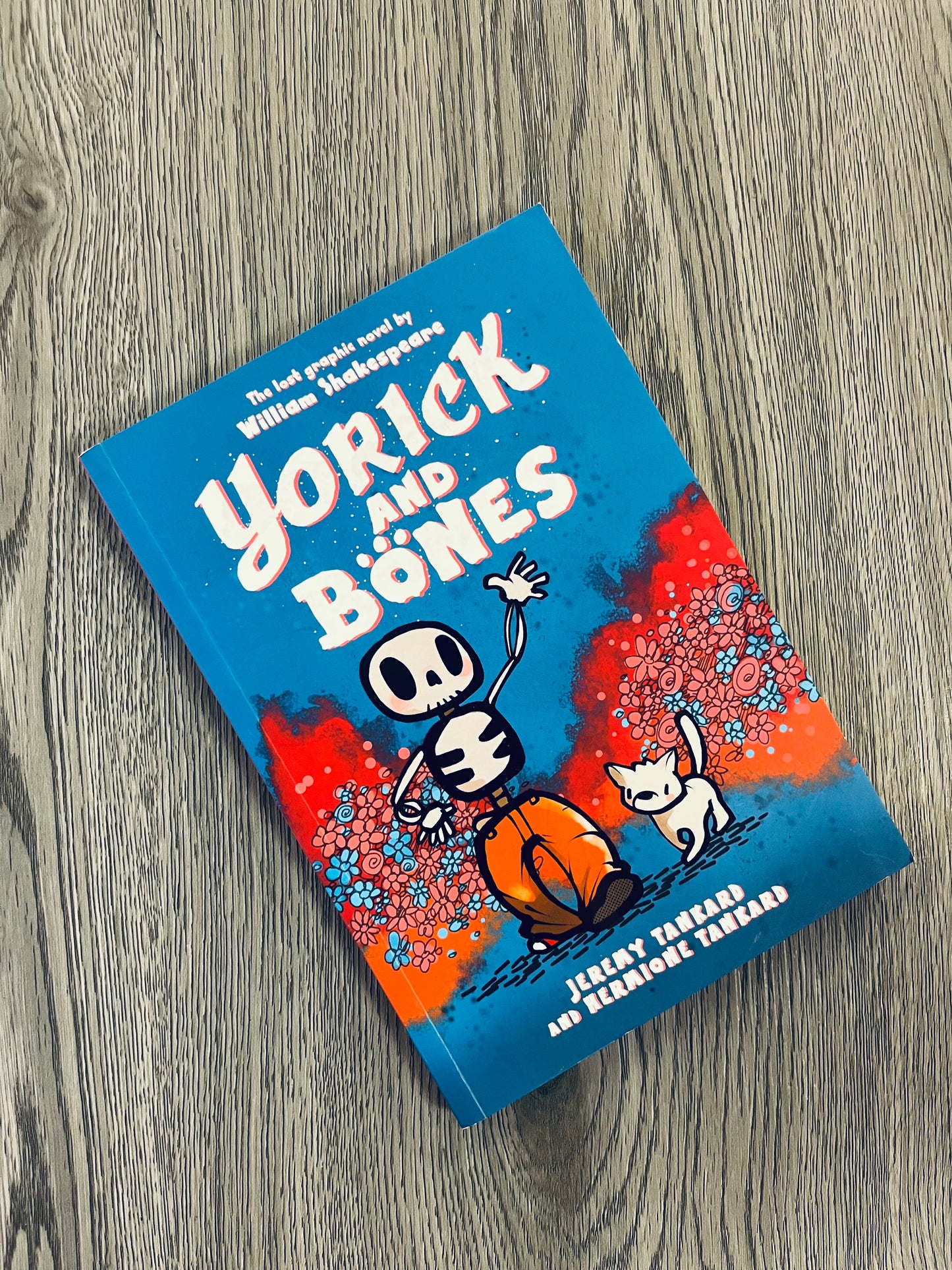 Yorick and Bones (Yorick and Bones #1) by Jeremy Tankard - Graphic Novel-Used