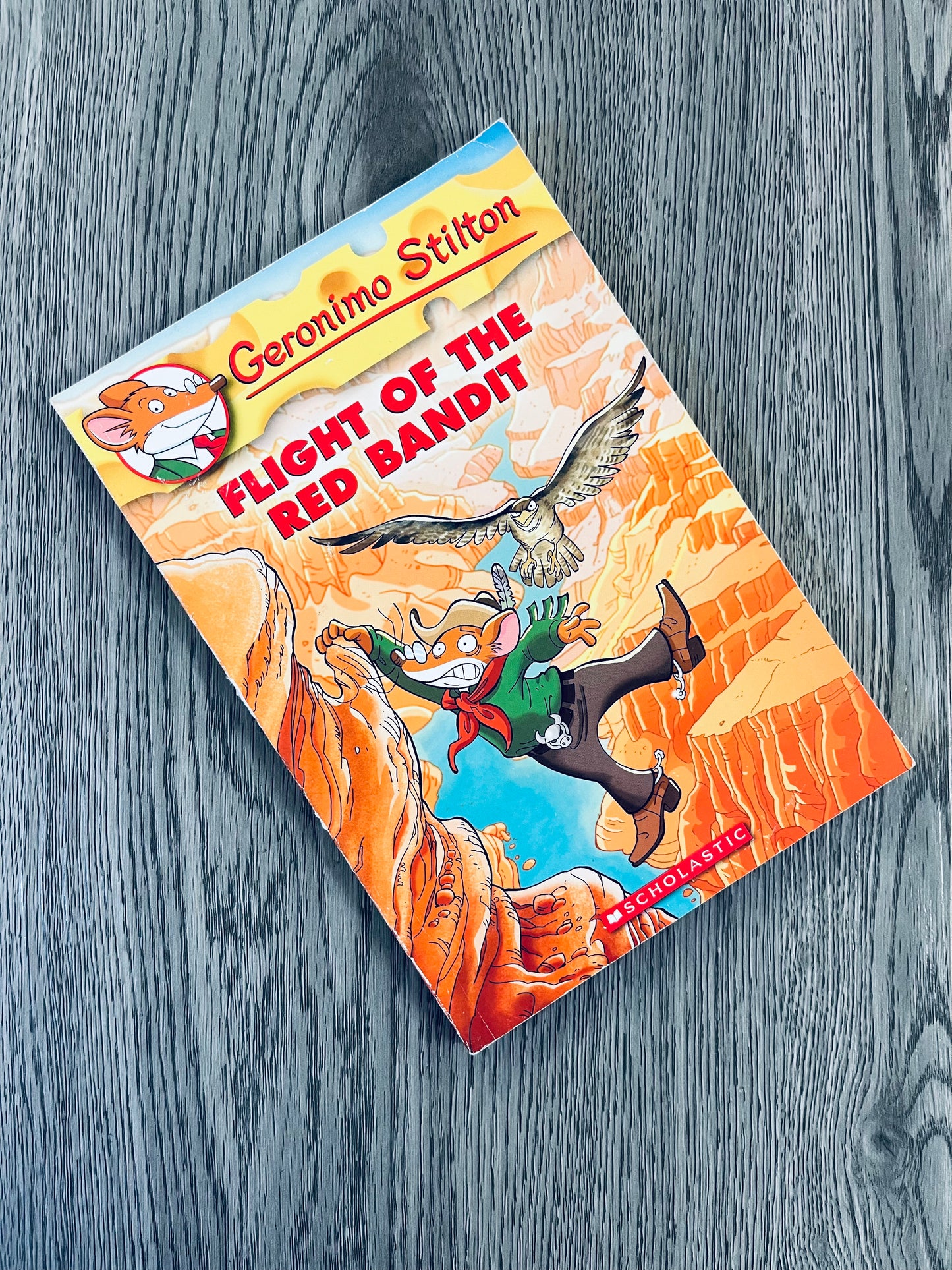 Geronimo Stilton Series-Used