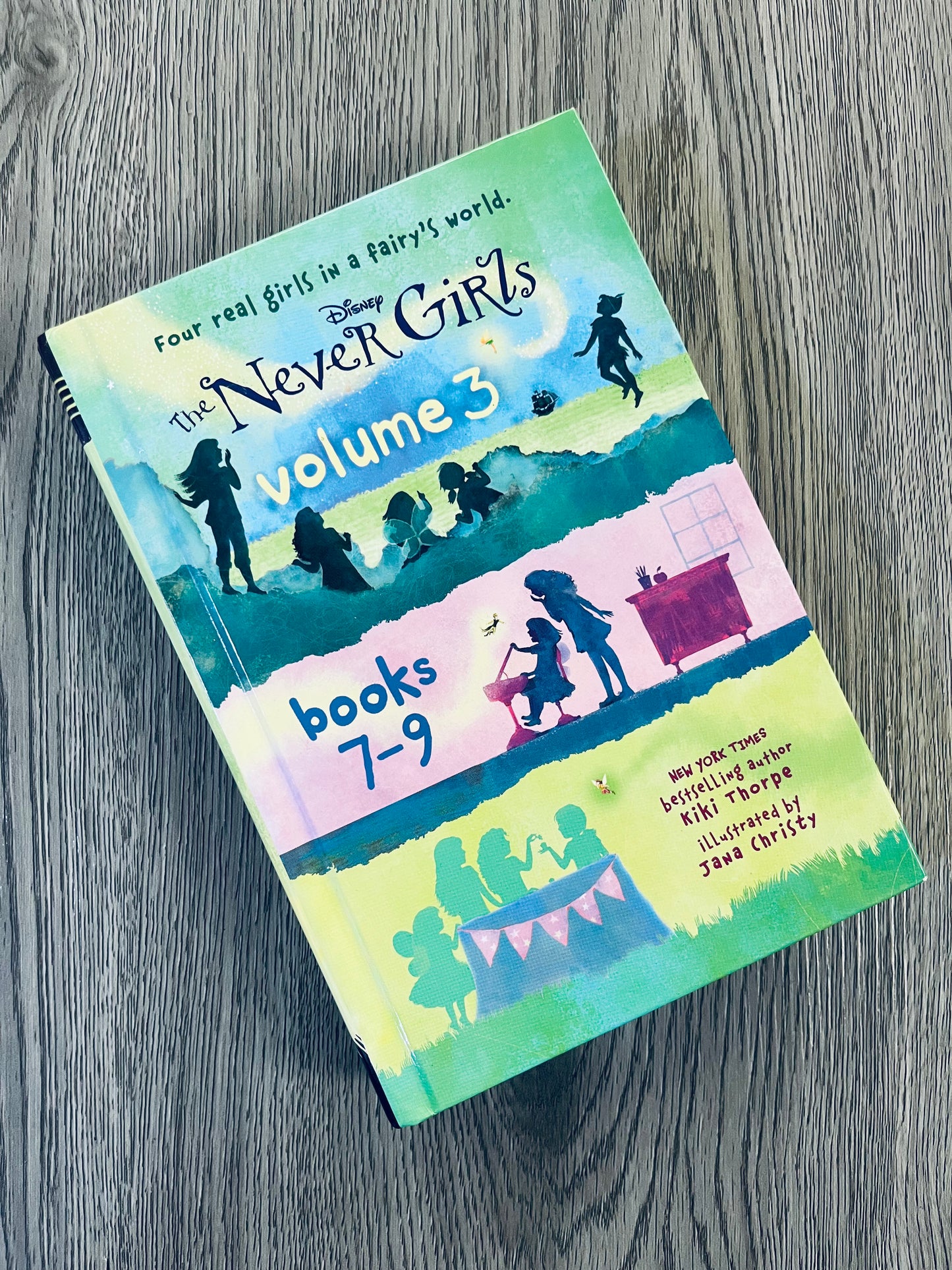 The Never Girls by Kiki Thorpe-Used