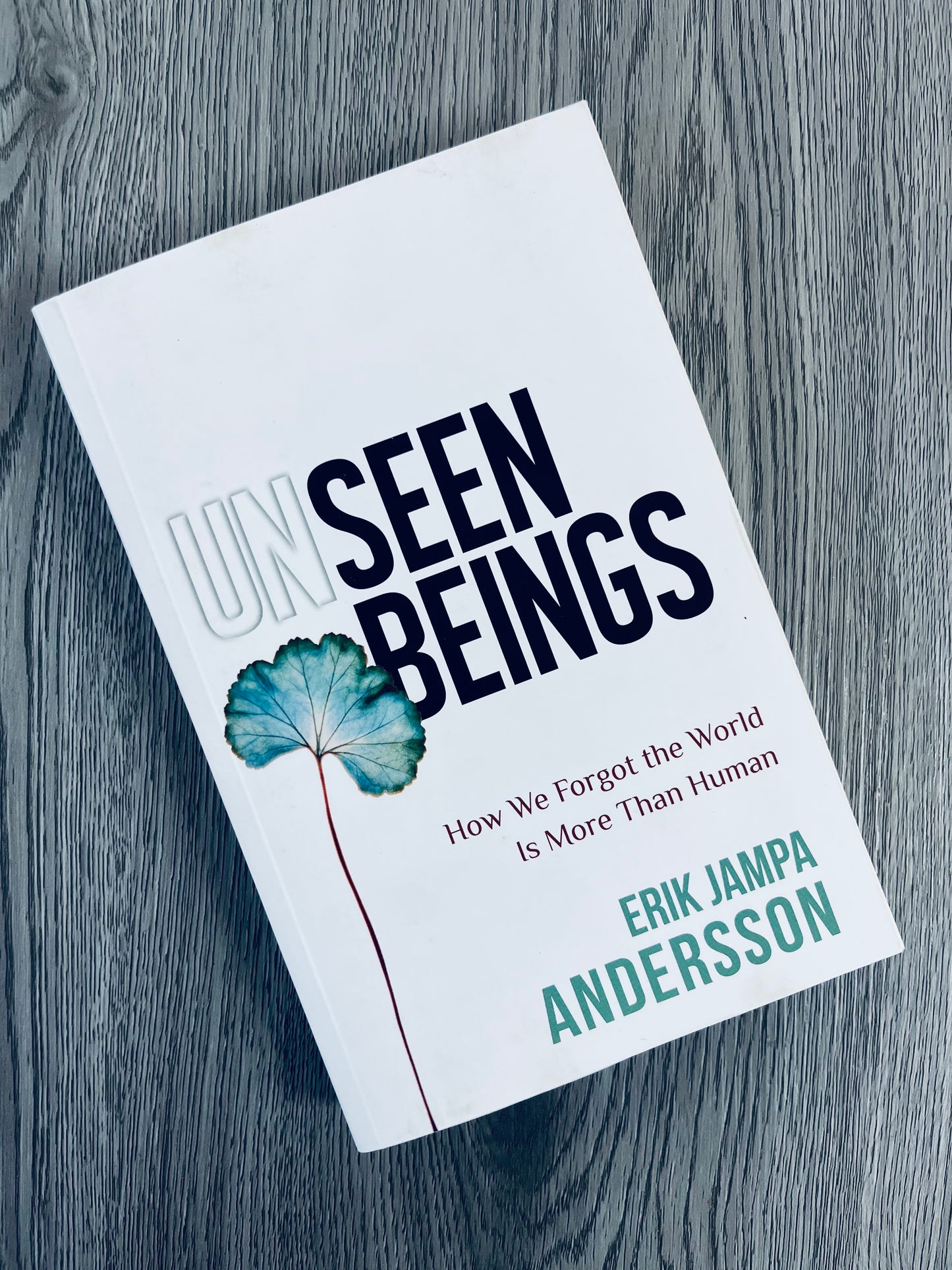 Unseen Beings: How we Forgot the World is More Than Human by Erik Jampa Andersson