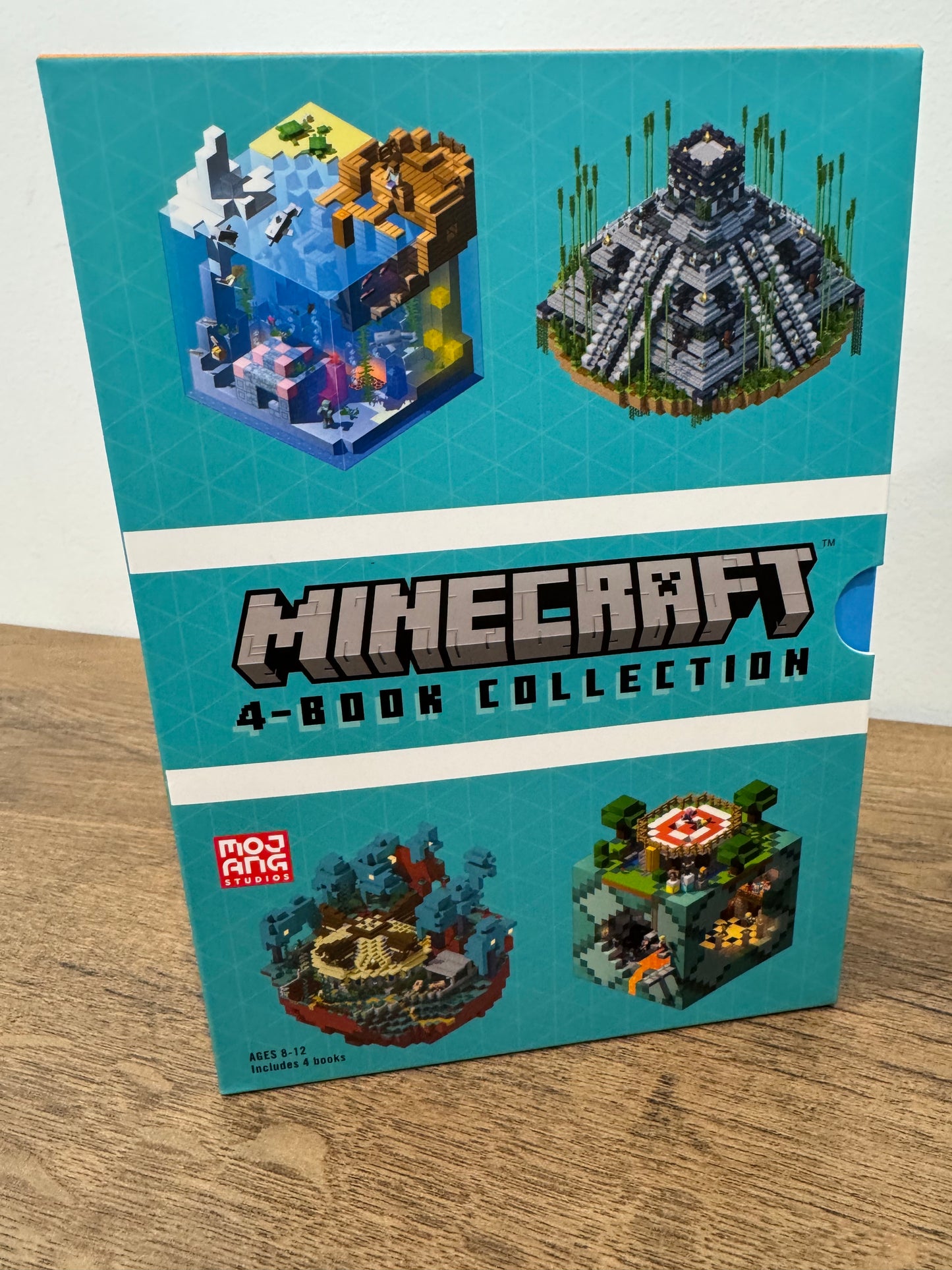 Minecraft 4 Book Collection-Used