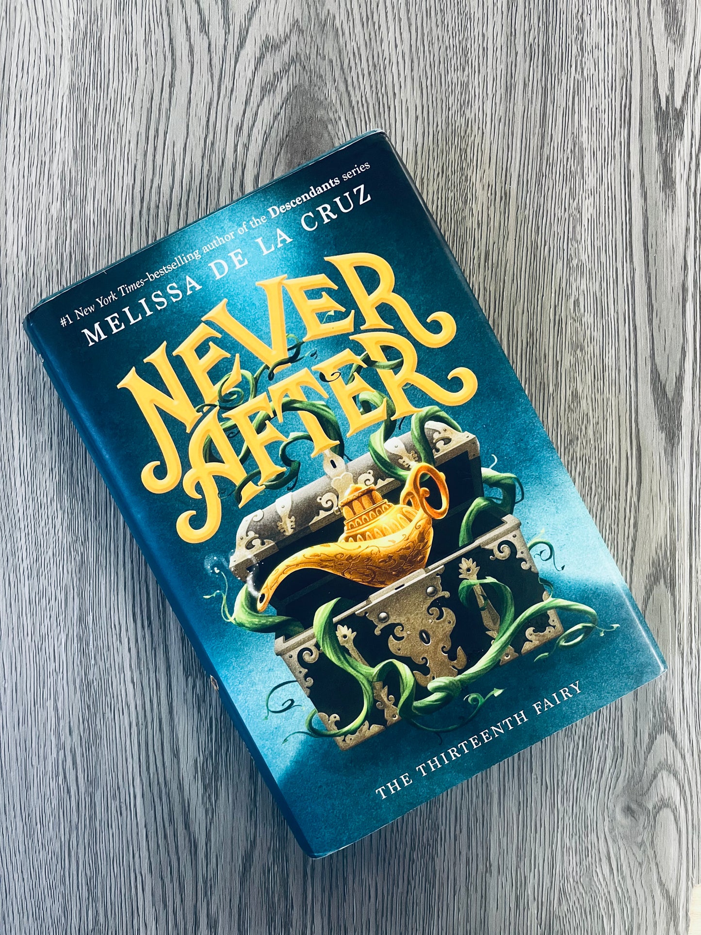 The Thirteenth Fairy (Never After #1) by Melissa De La Cruz - Hardcover Used