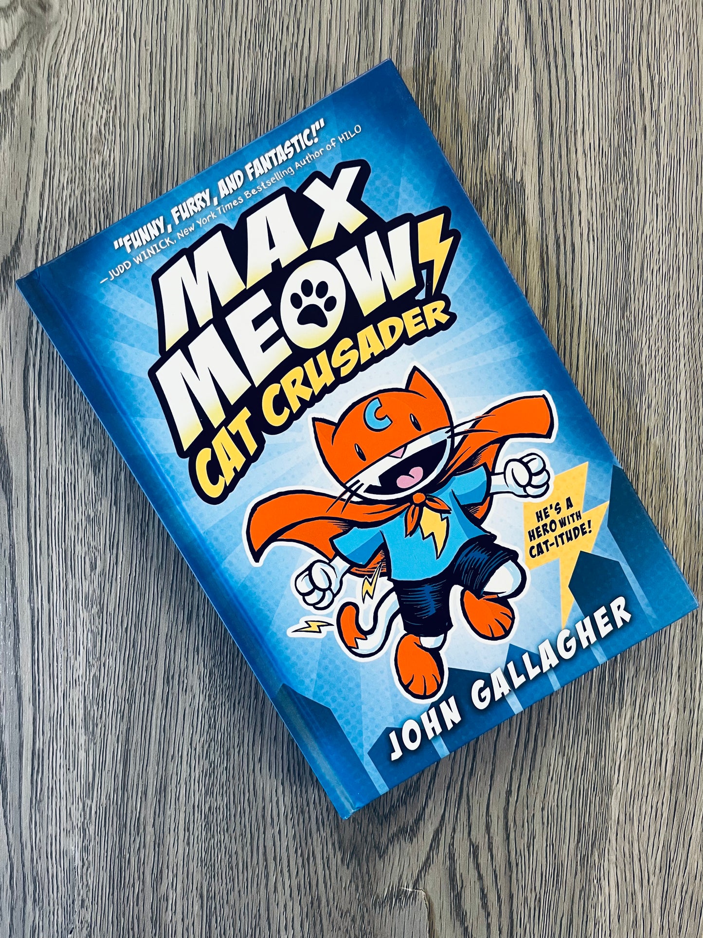 Max Meow Series by John Gallagher - Graphic Novels - Used