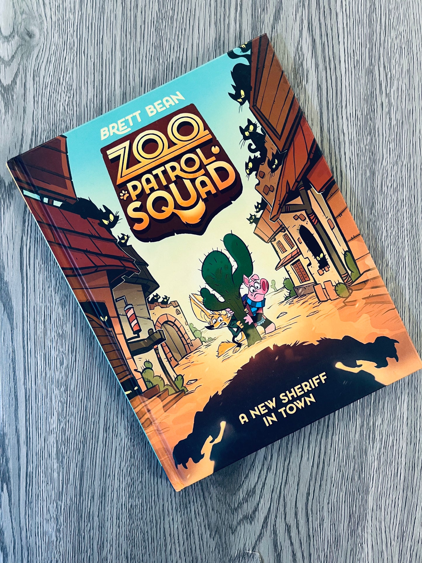 Zoo Patrol Squad Series by Brett Bean - Graphic Novels - Used