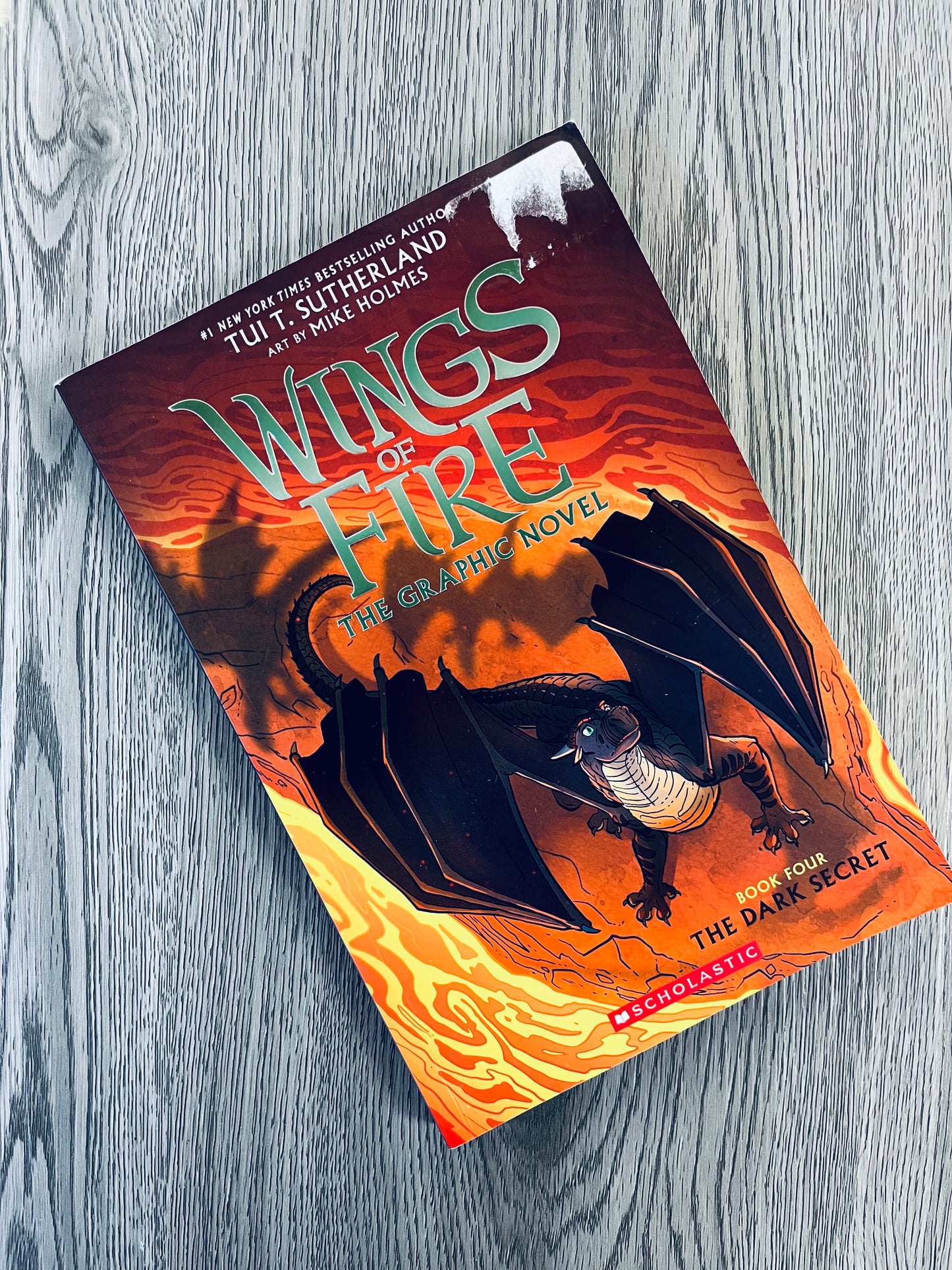 Wings of Fire Graphic Novels-Used