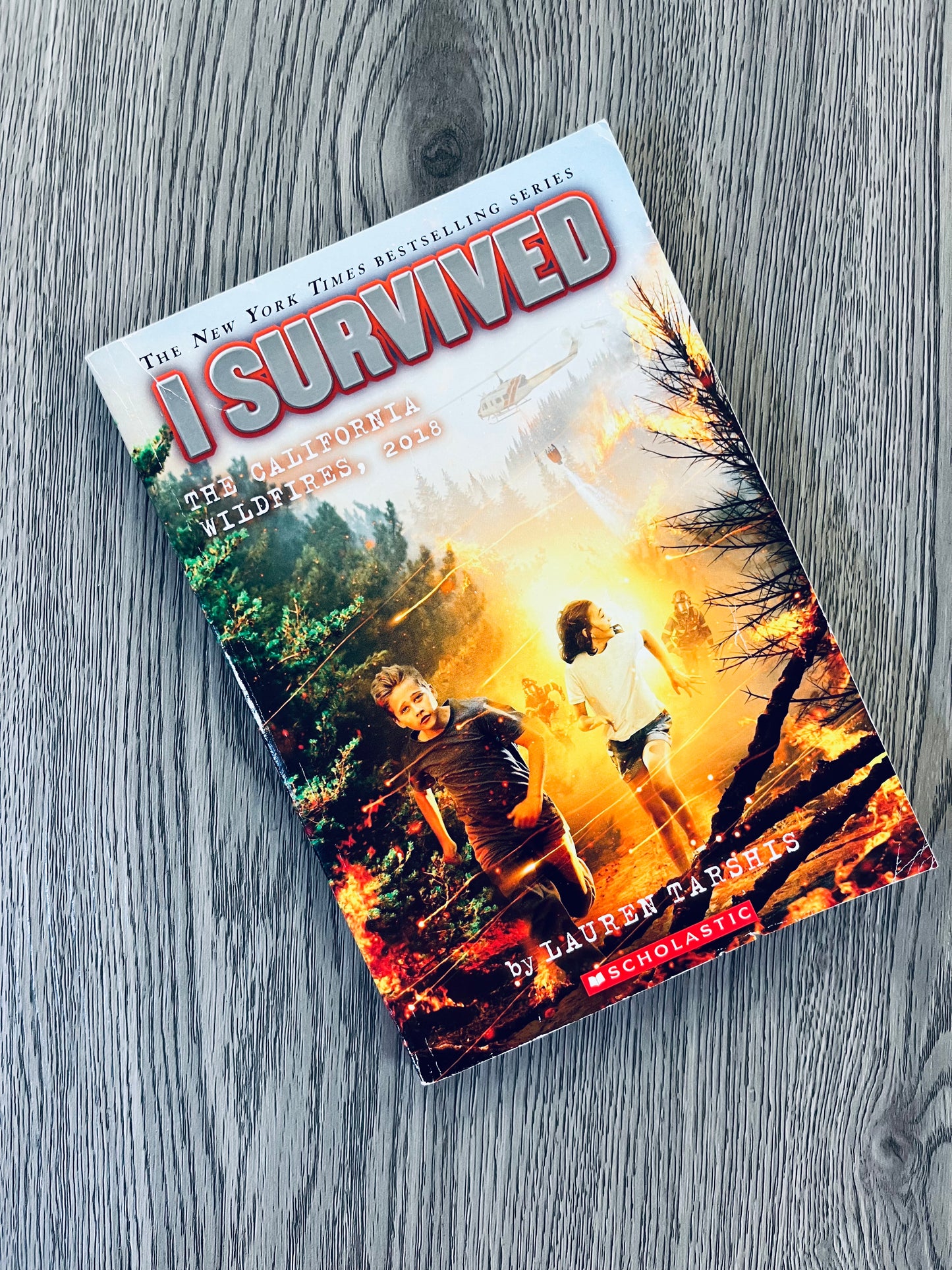 I Survived Series by Lauren Tarshis - Used