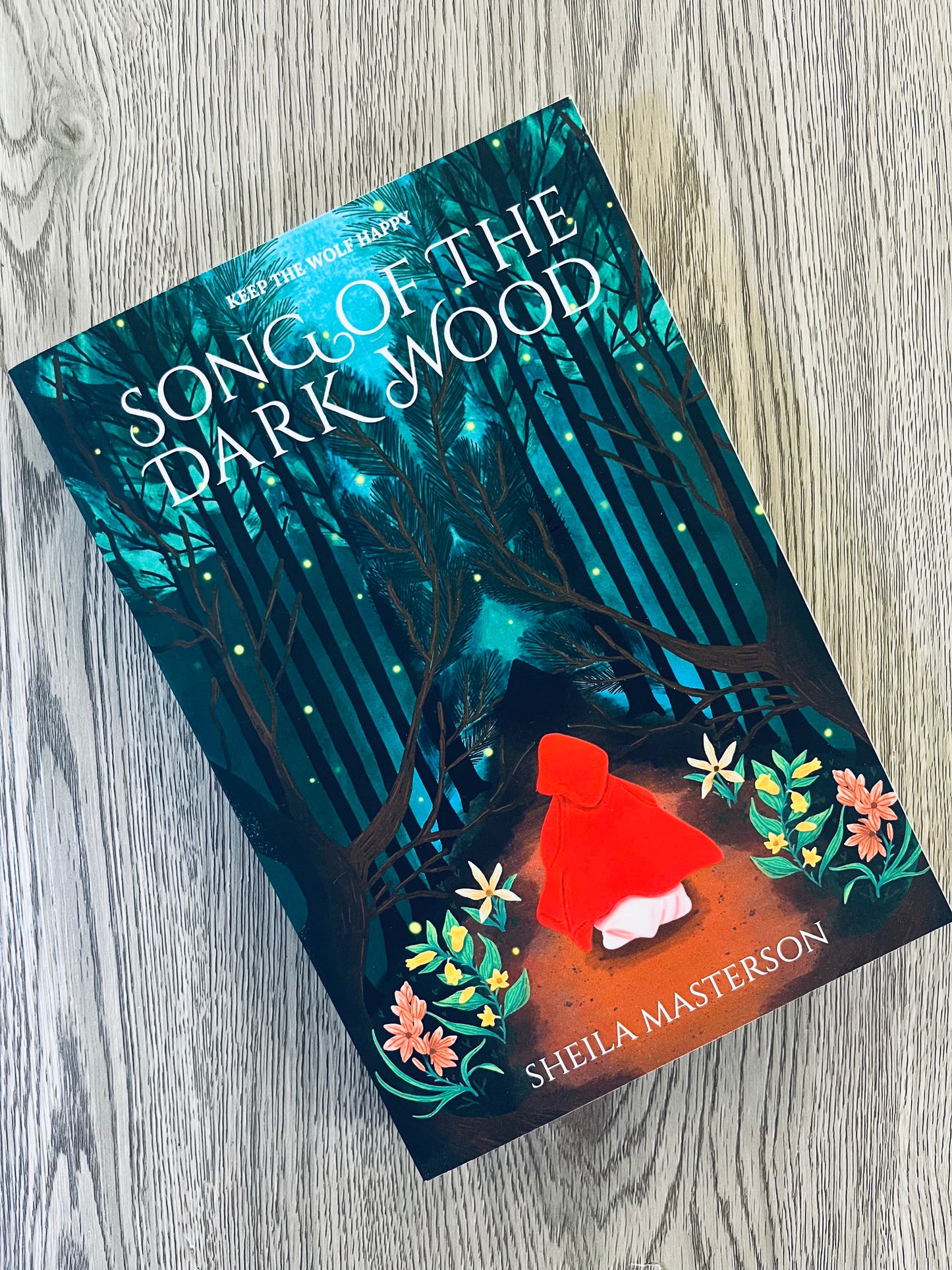 Song of the Dark Wood (Fable Song #1) by Sheila Masterson - Used