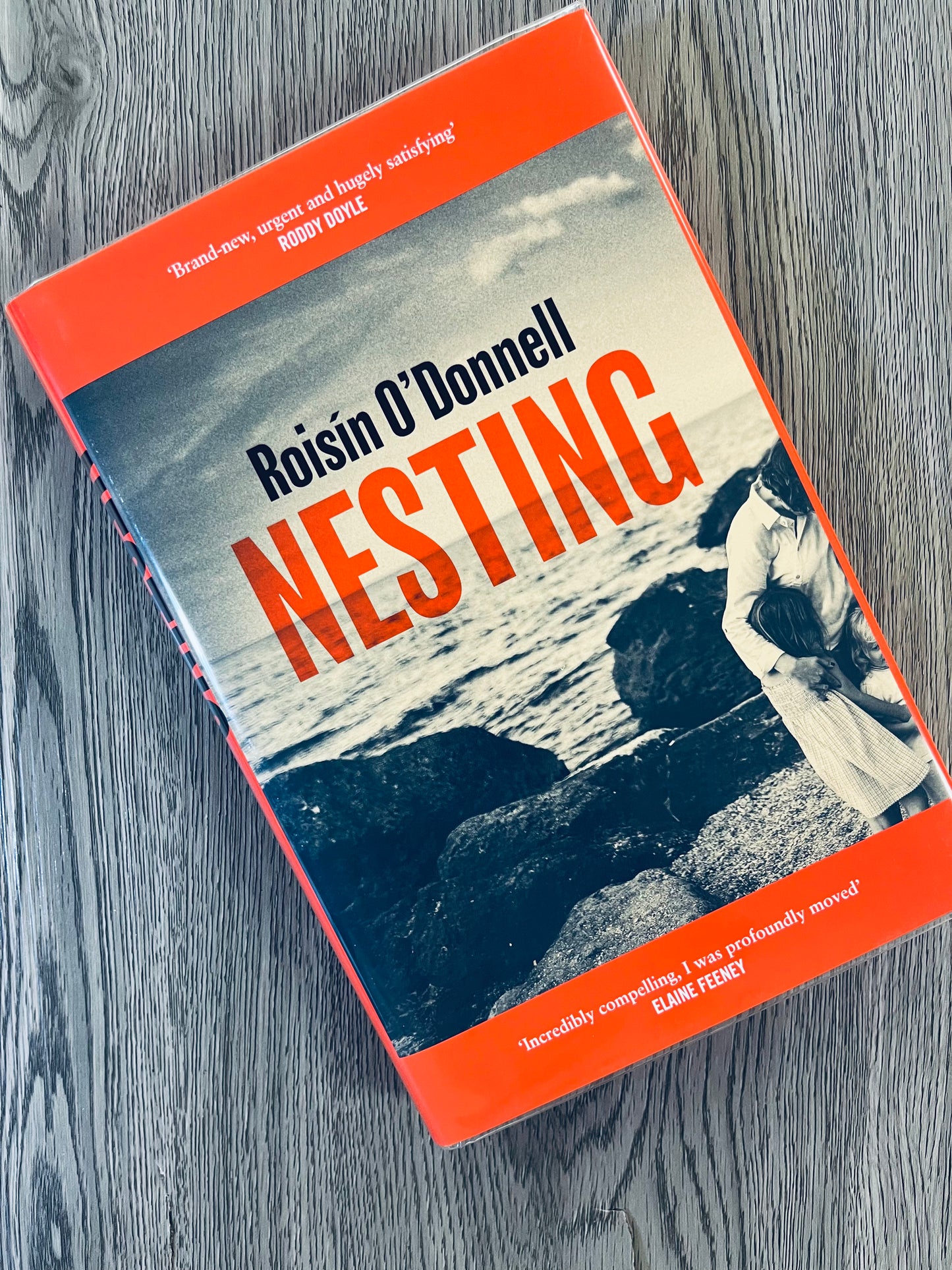 Nesting by Roisin O'Donnell - Hardcover Signed & Sprayed Edges - Used