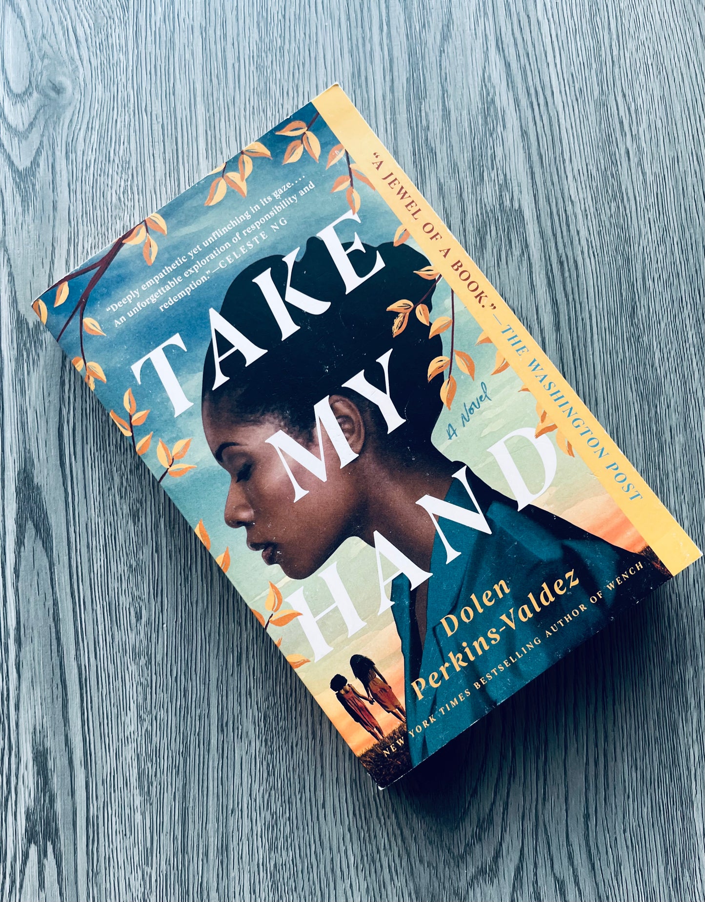Take my Hand by Dolen Perkins-Valdez - Used