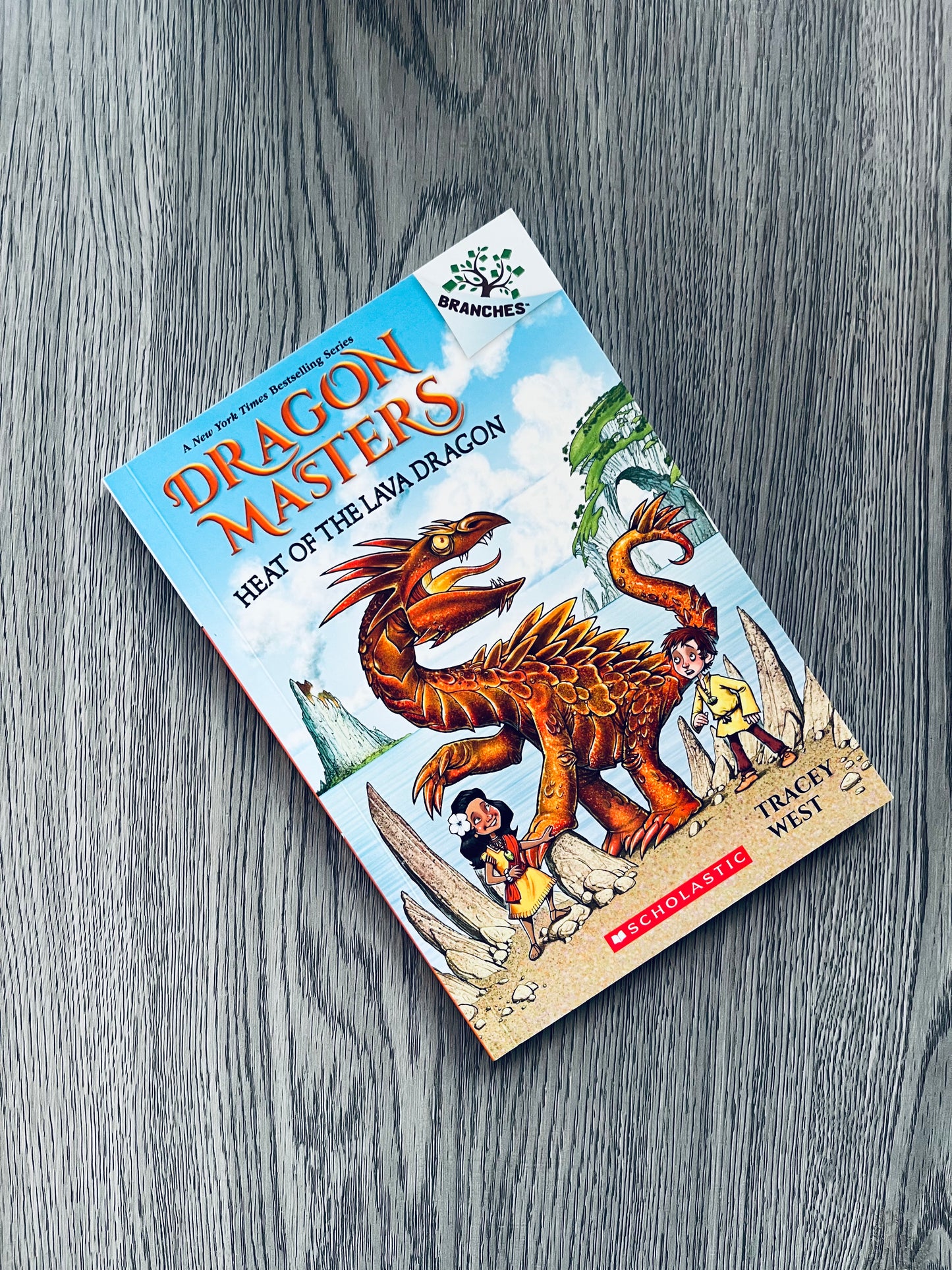 Dragon Masters Series by Tracey West-Used