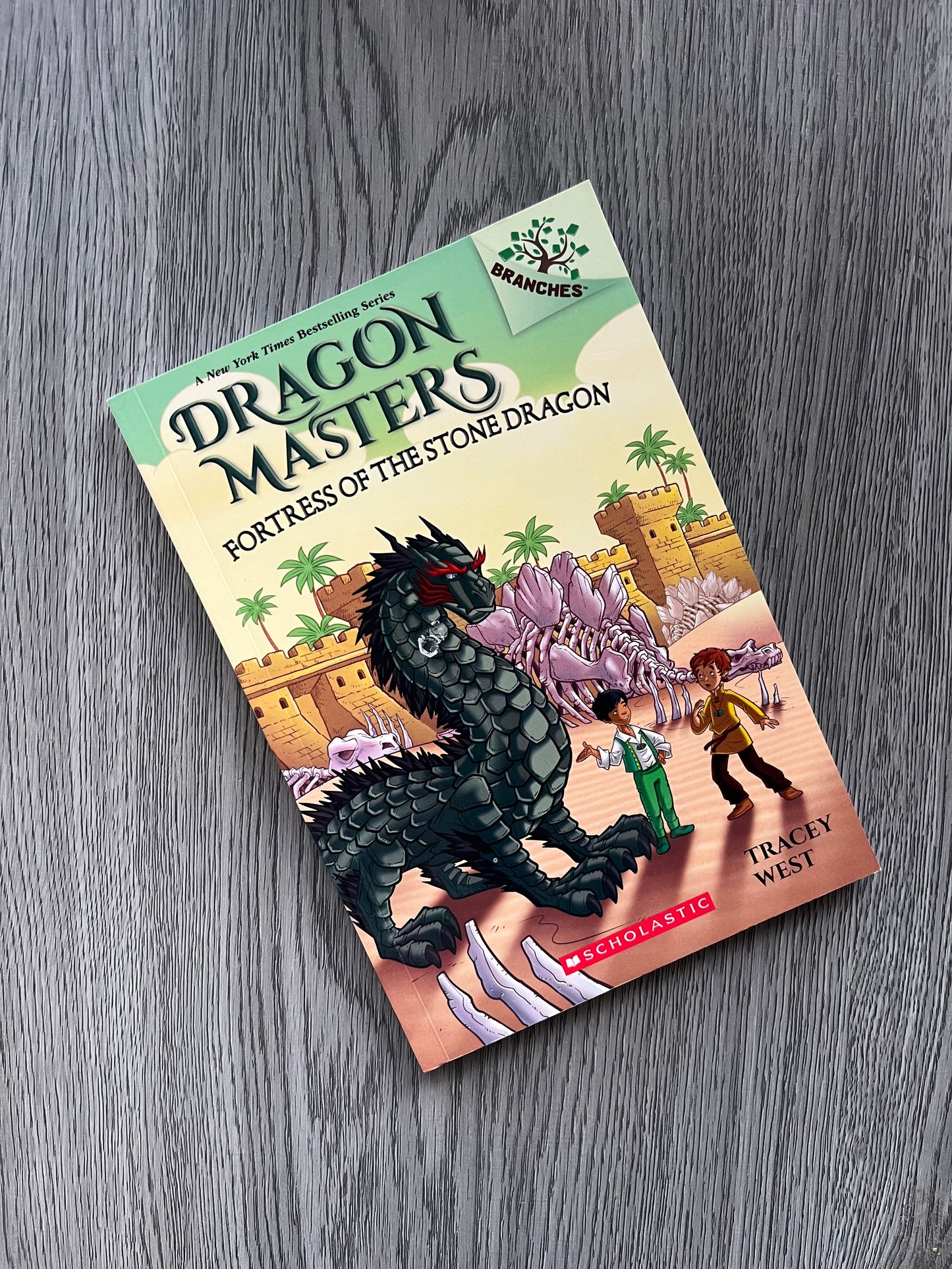Dragon Masters Series by Tracey West-Used