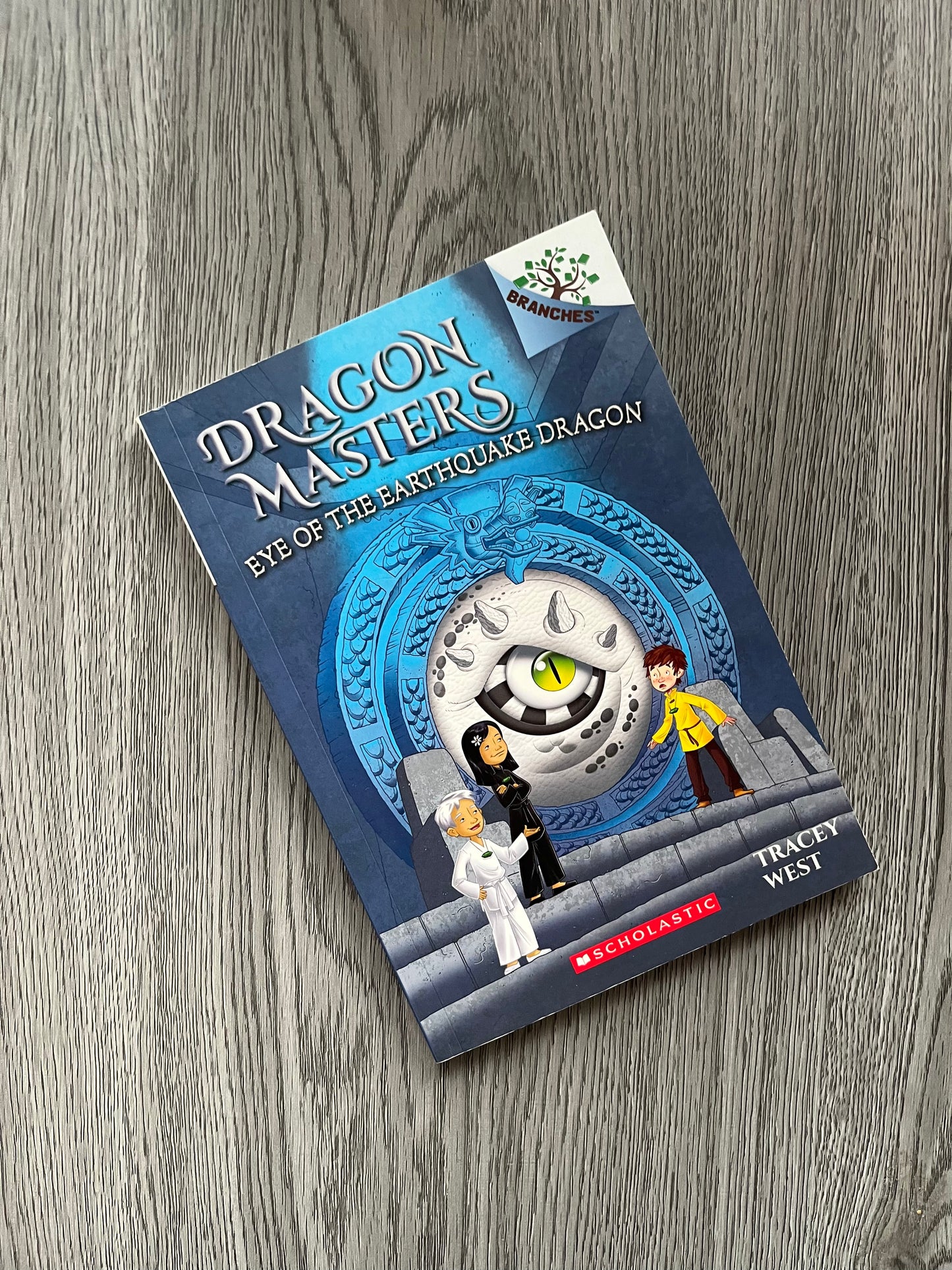 Dragon Masters Series by Tracey West-Used