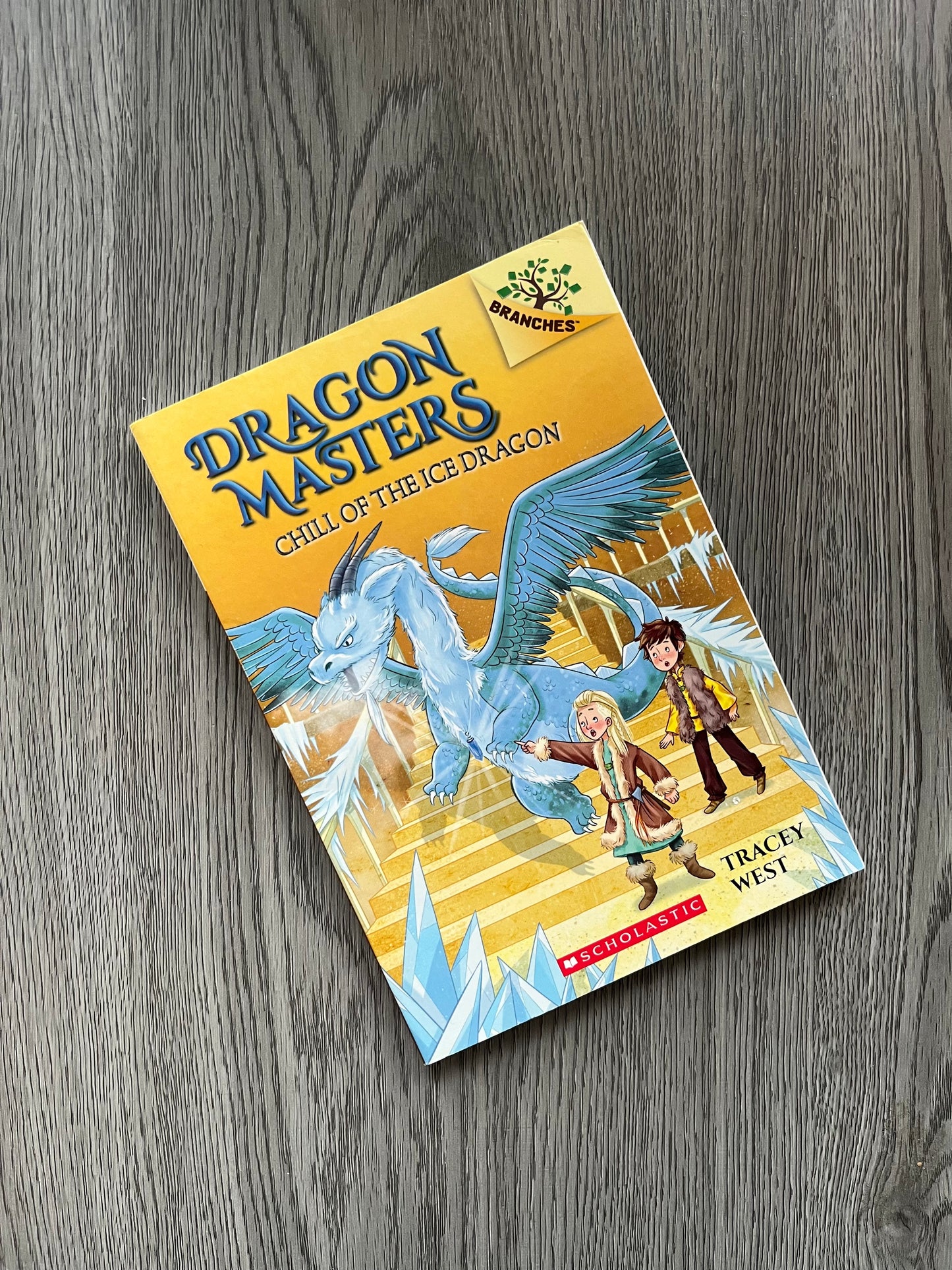Dragon Masters Series by Tracey West-Used