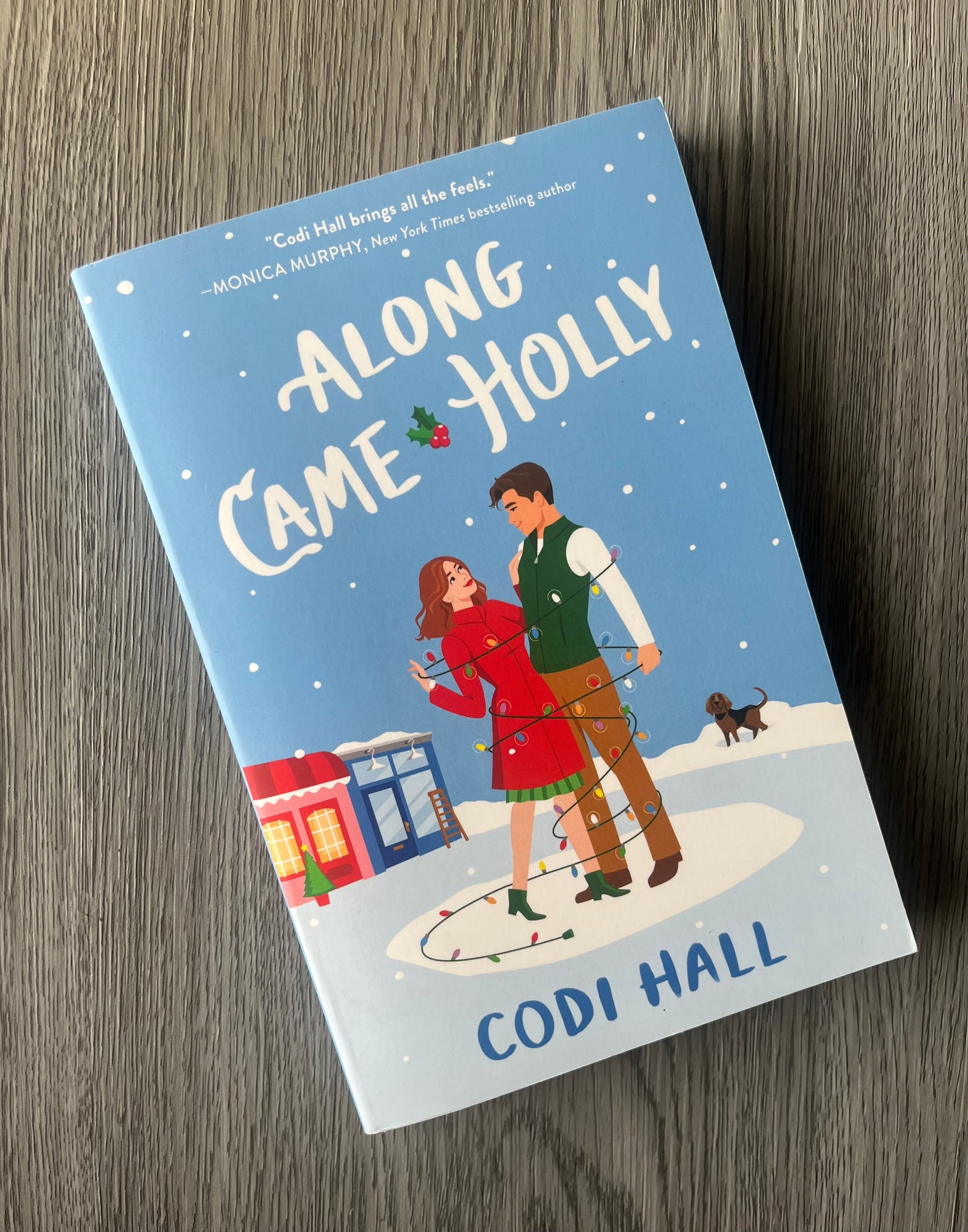 Along Came Holly by Codi Hall - Used
