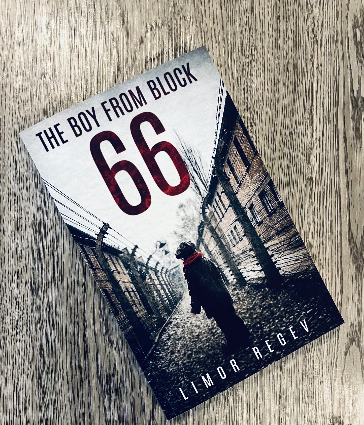 The Boy From Block 66: A WW2 Jewish Holocaust Survival True Story by Limor Regev - Used
