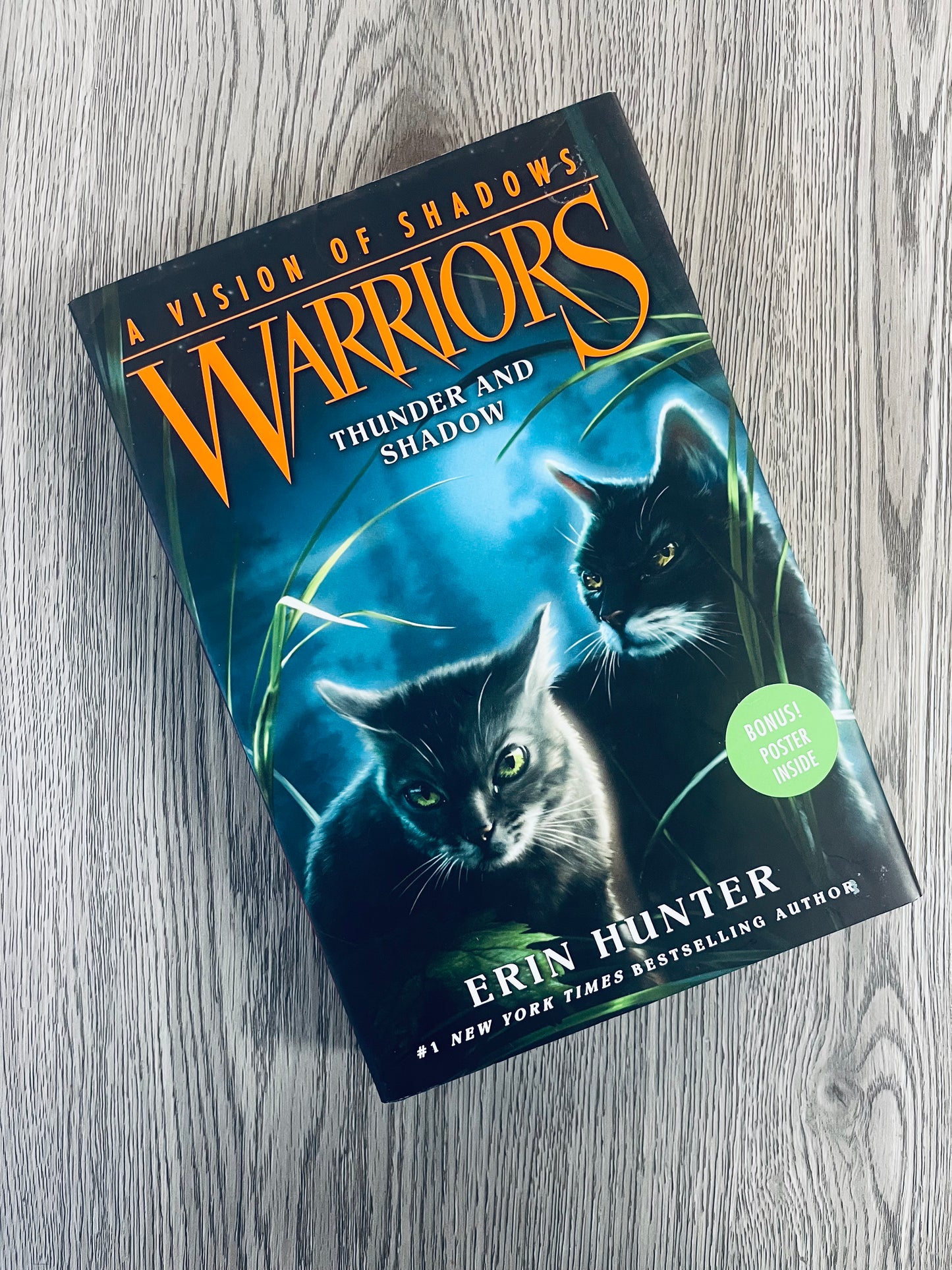 A Vision of Shadows Warriors by Erin Hunter-Hardcover