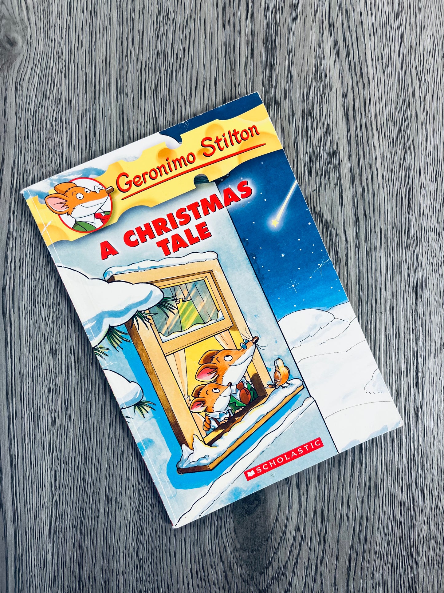 Geronimo Stilton Series