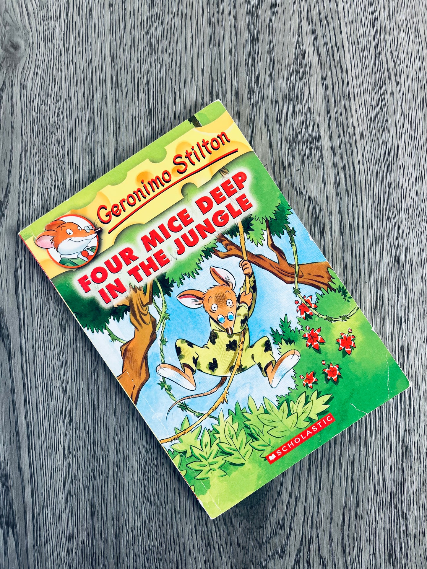 Geronimo Stilton Series