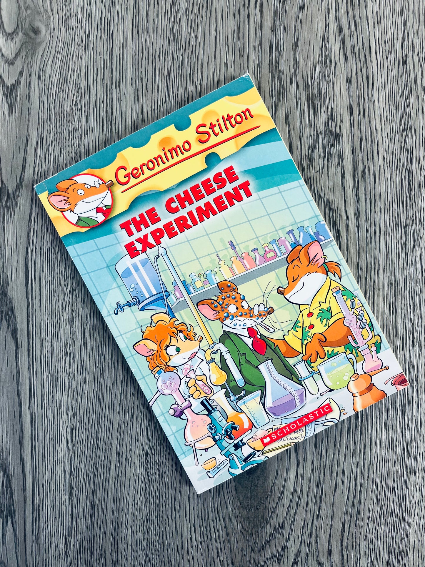 Geronimo Stilton Series