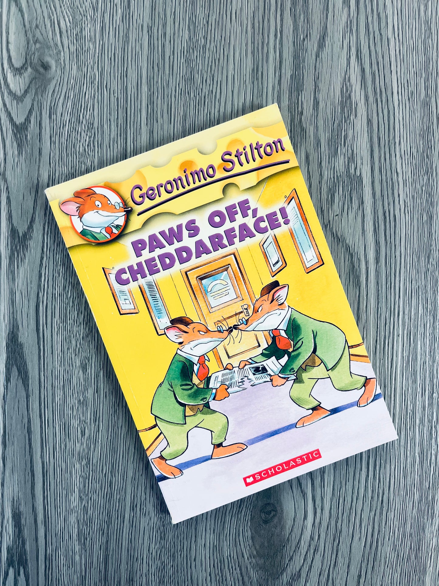 Geronimo Stilton Series