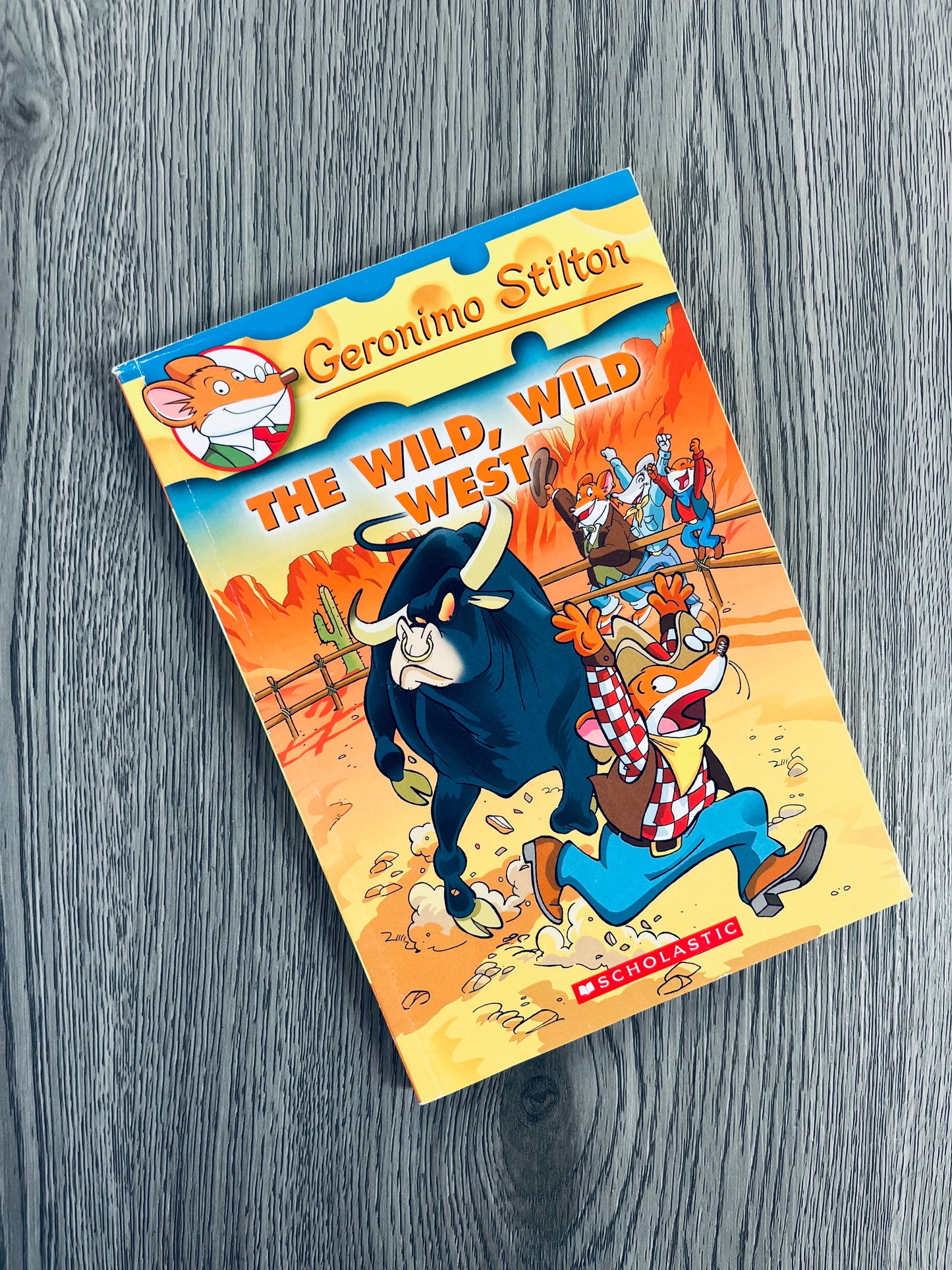 Geronimo Stilton Series