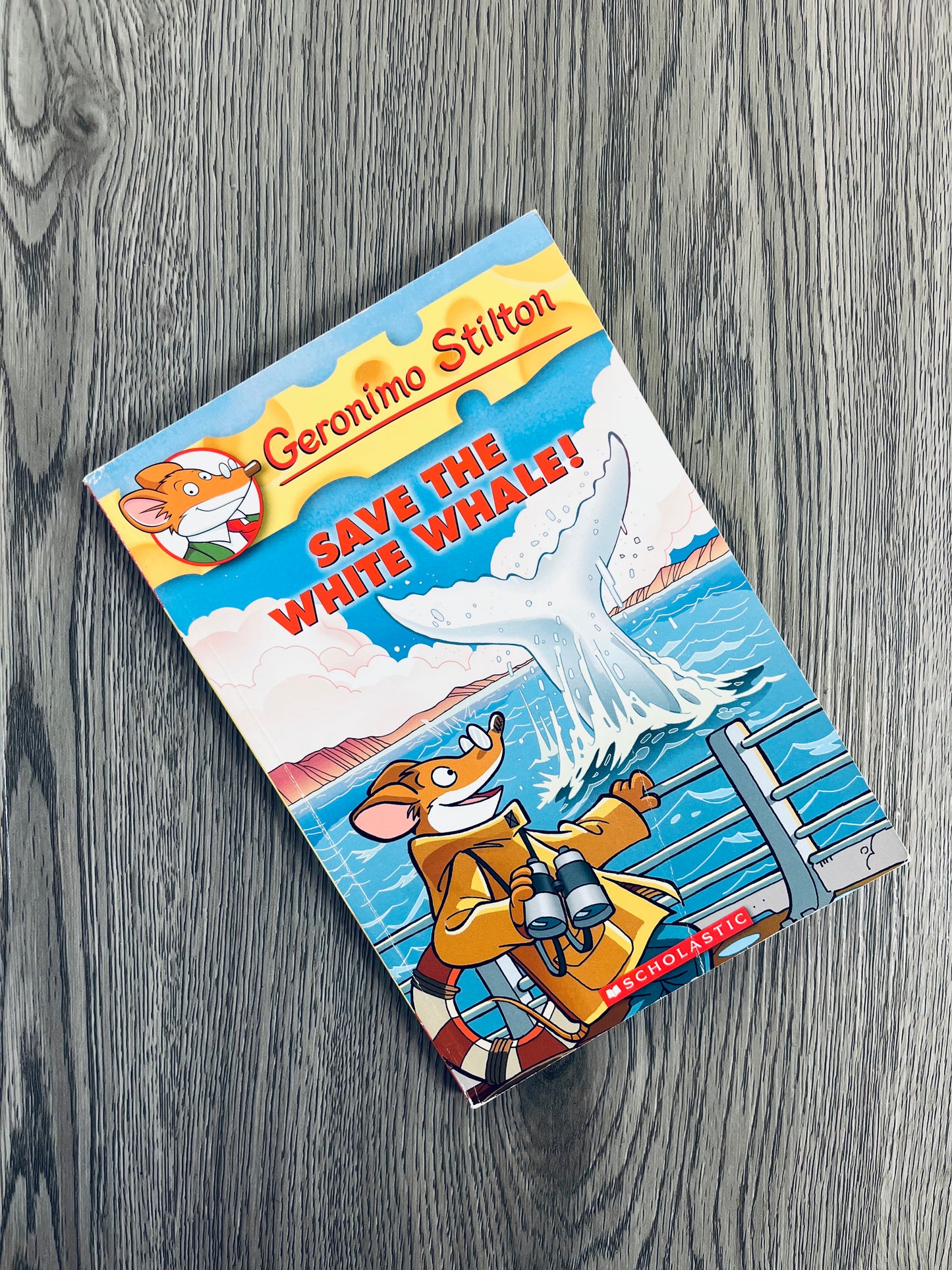 Geronimo Stilton Series