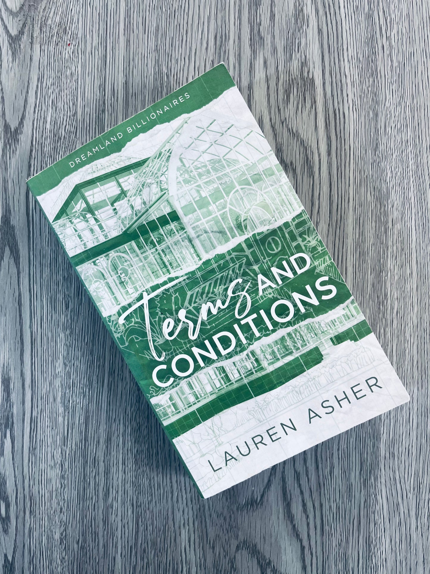 Terms and Conditions (Dreamland Billionaires #2) by Lauren Asher