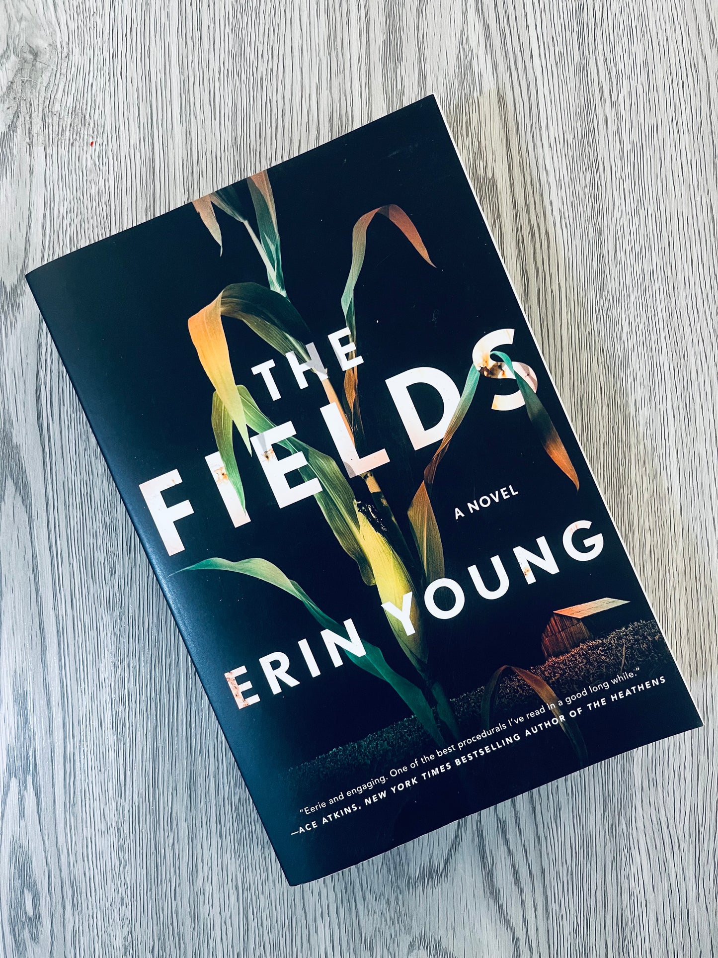 The Fields by Erin Young