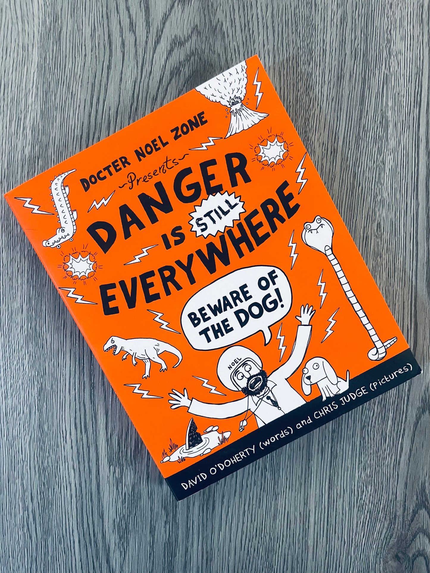 Danger is STILL Everywhere by David O'Doherty