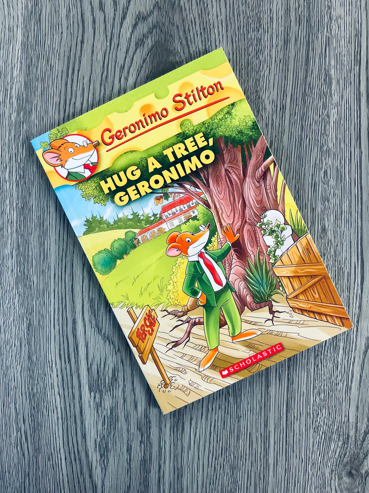 Geronimo Stilton Series