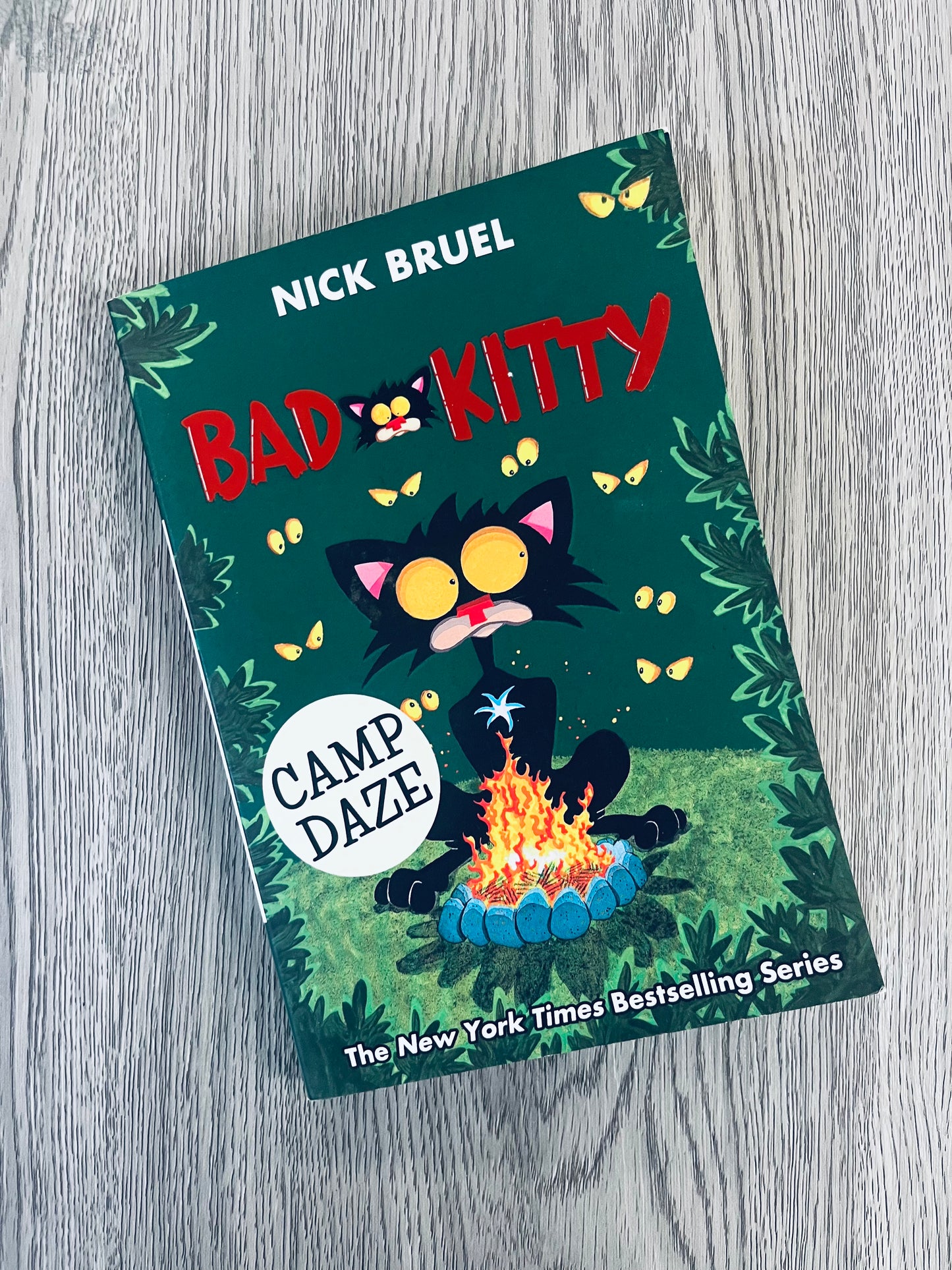 Bad Kitty by Nick Bruel