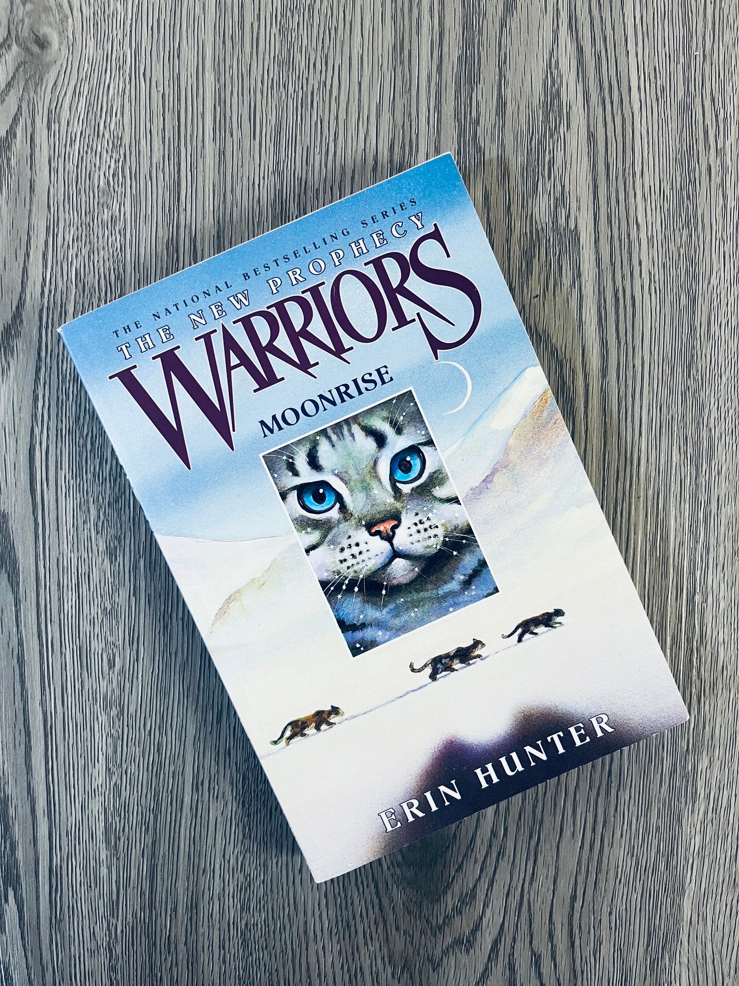 The New Prophecy Warriors Series by Erin Hunter