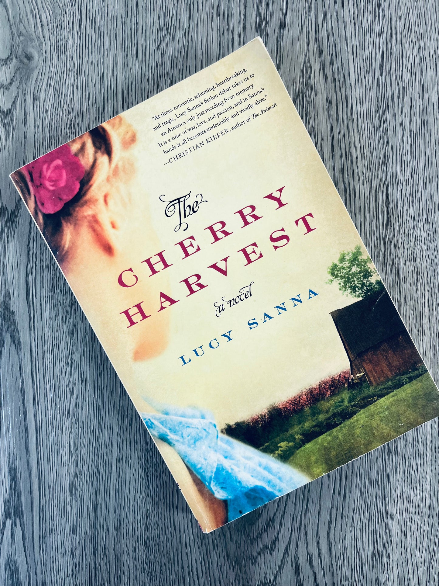 The Cherry Harvest by Lucy Sanna