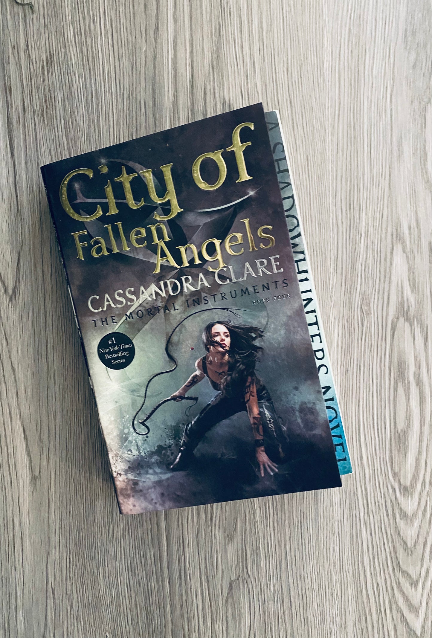 City of Fallen Angels (The Mortal Instruments #4) by Cassandra Clare